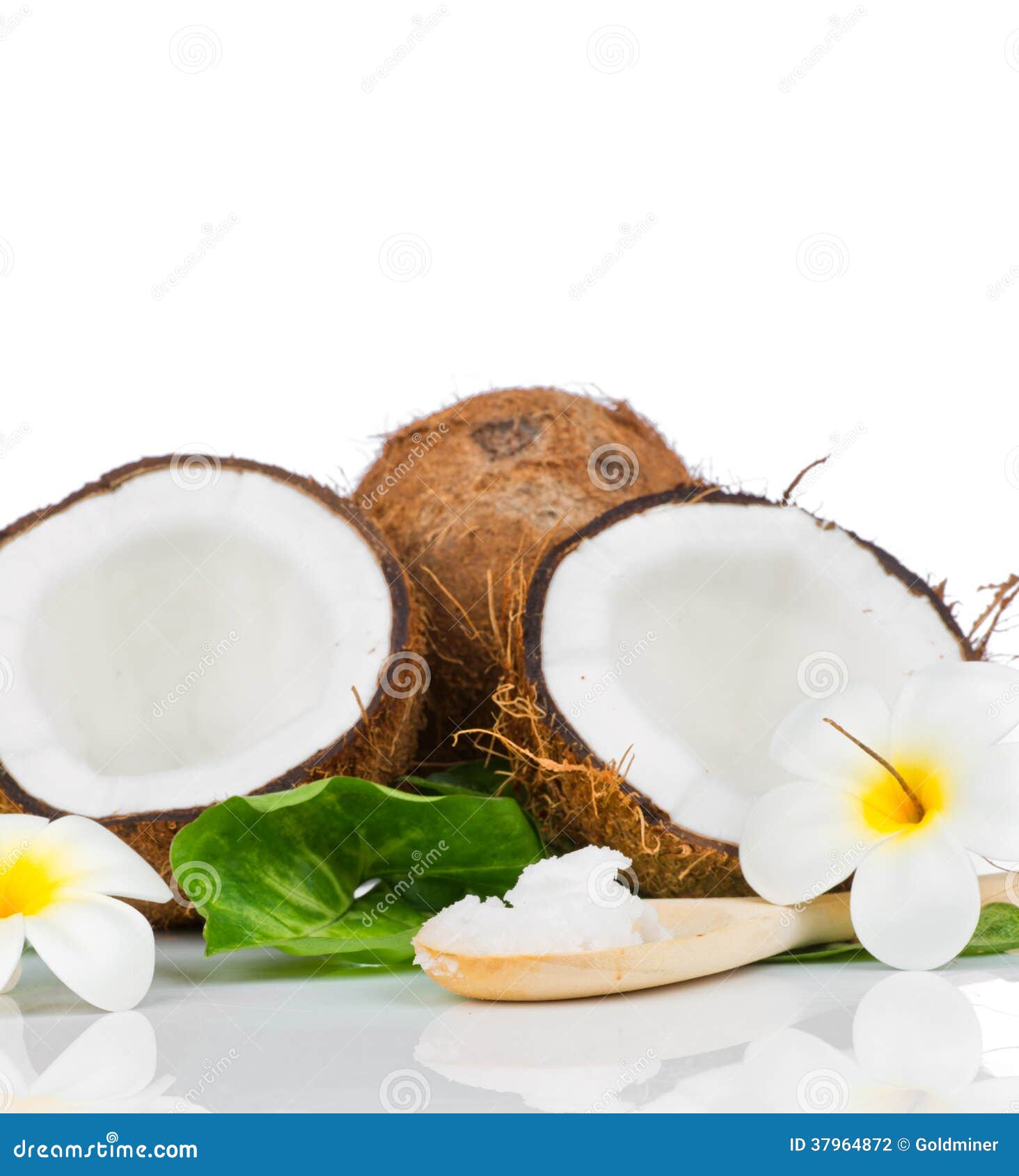 Coconut with green leaf stock photo. Image of fruit, plant 37964872