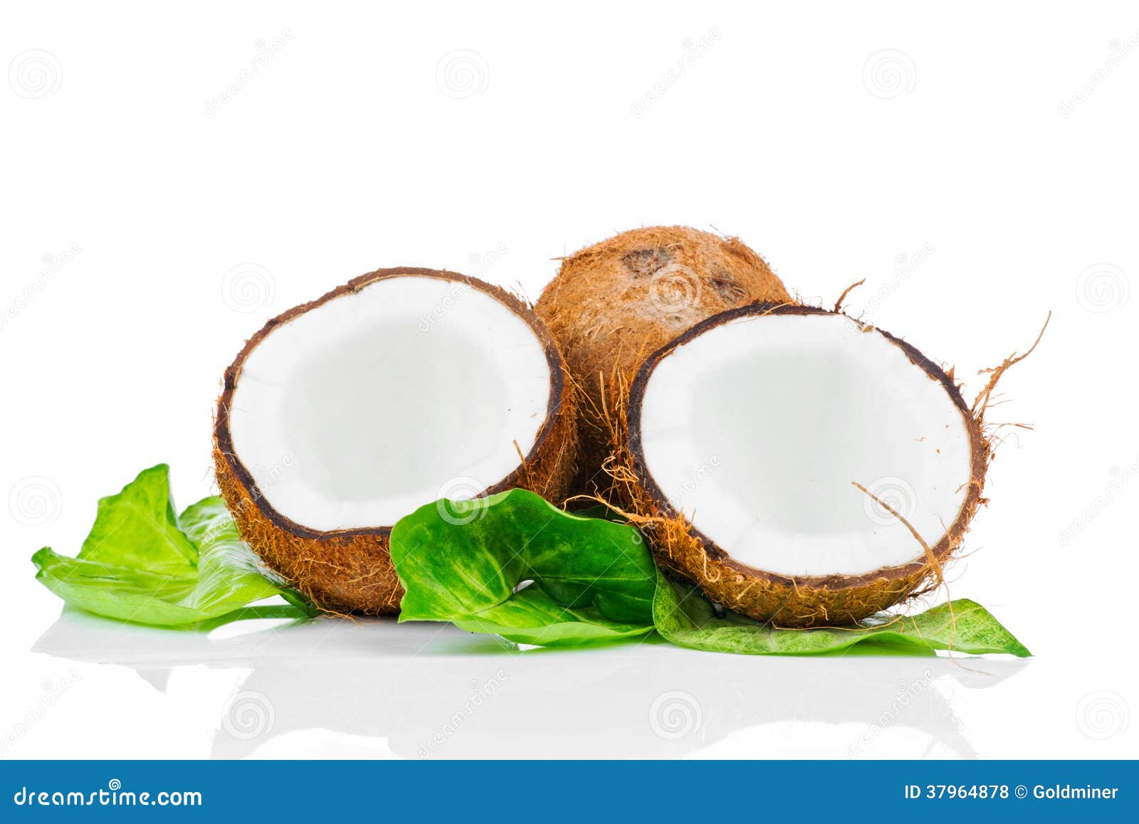 Coconut with green leaf stock photo. Image of curl, healthy 37964878