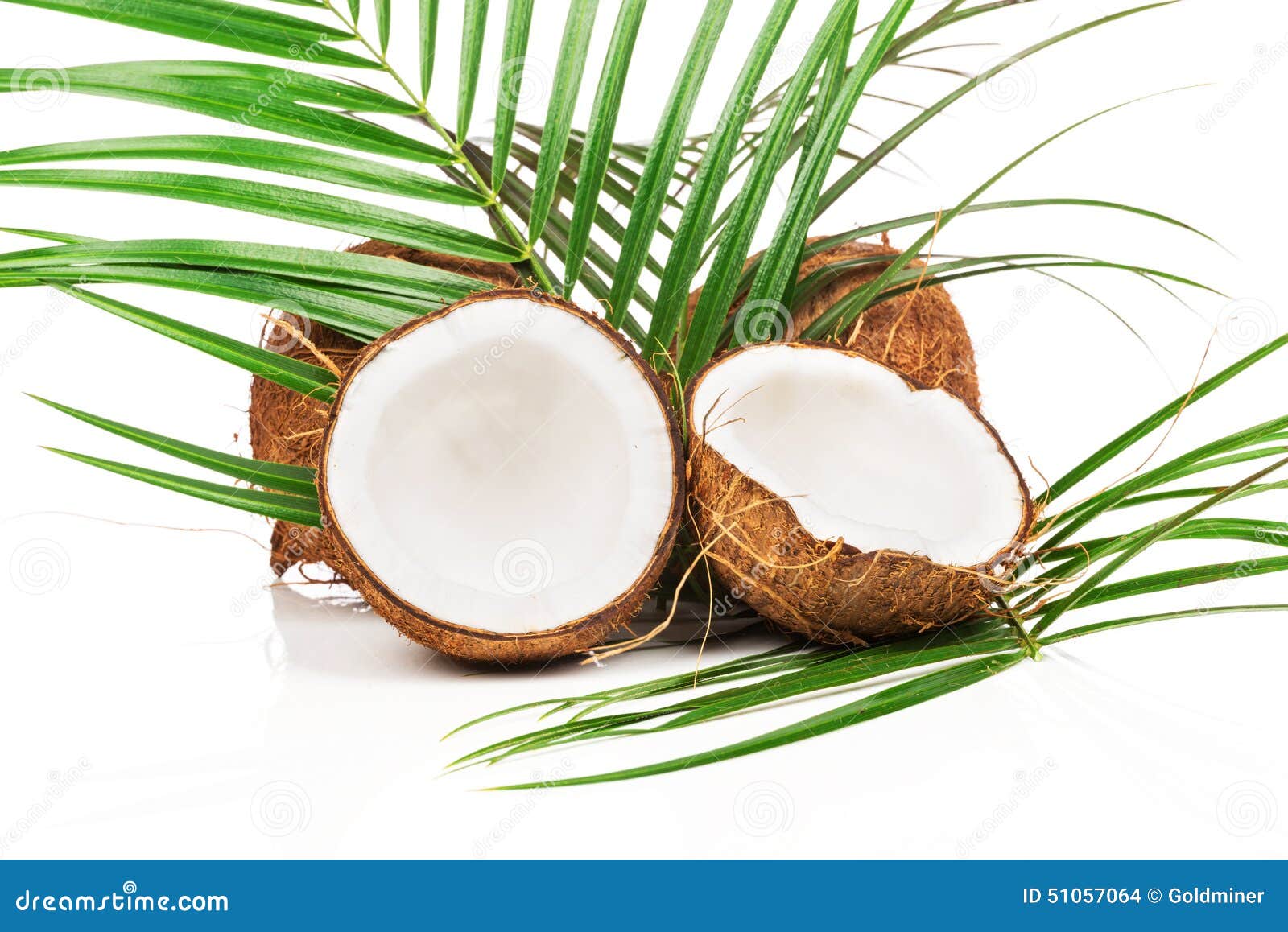 Coconut with green leaf stock photo. Image of green, ingredient 51057064