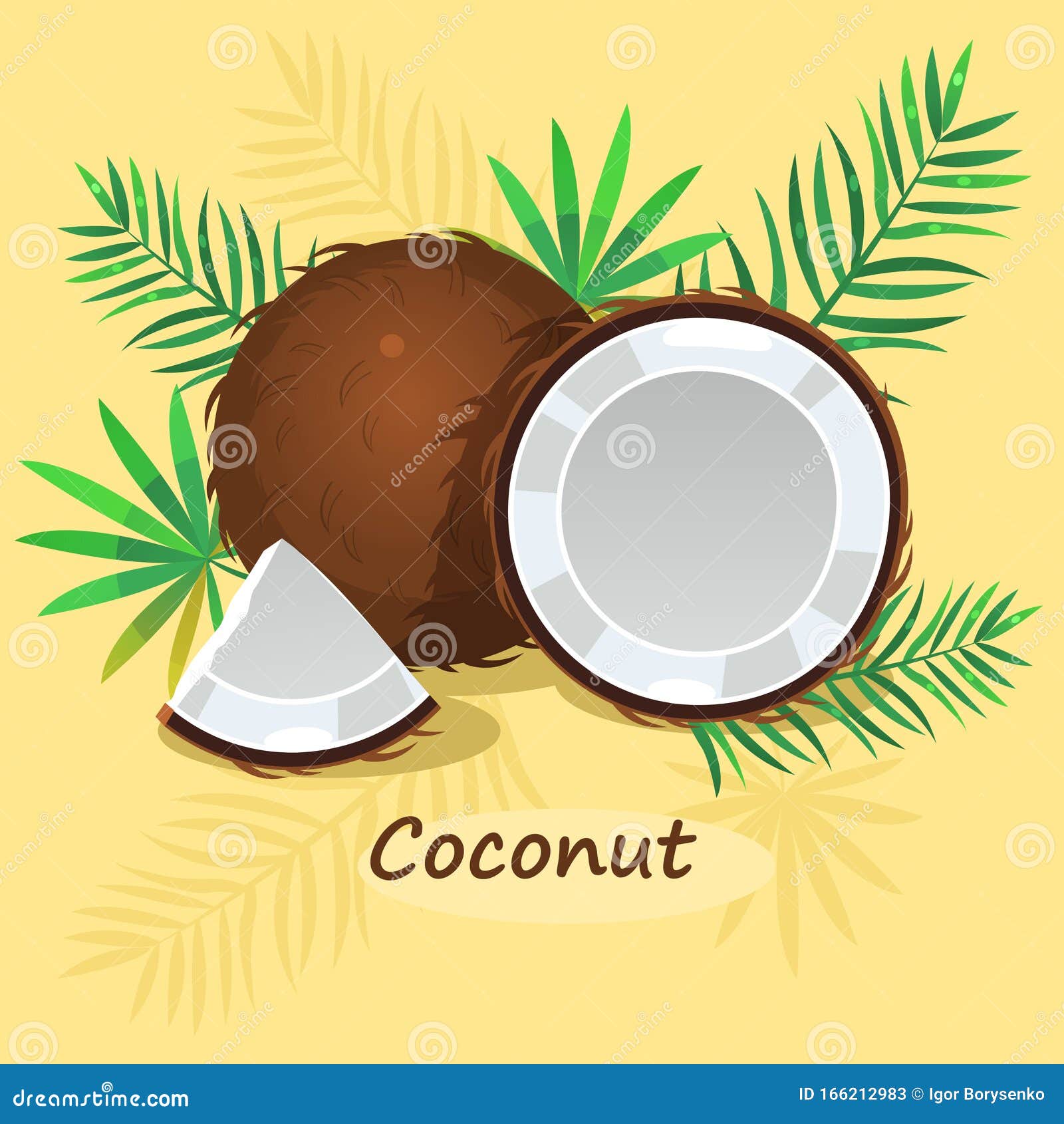 Coconut with Green Leafs on Yellow Background Stock Vector ...