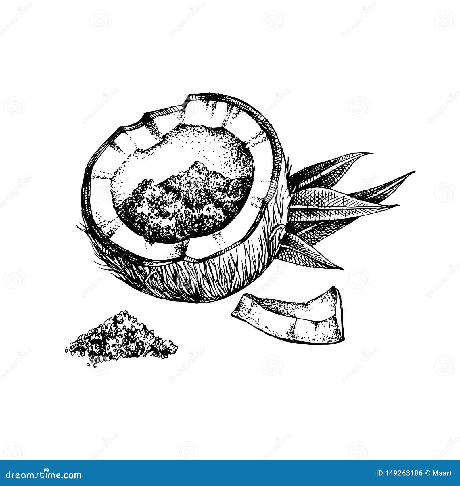 Coconut Half And Coco Segment. Hand Drawn Style Vector Sketch. Black ...