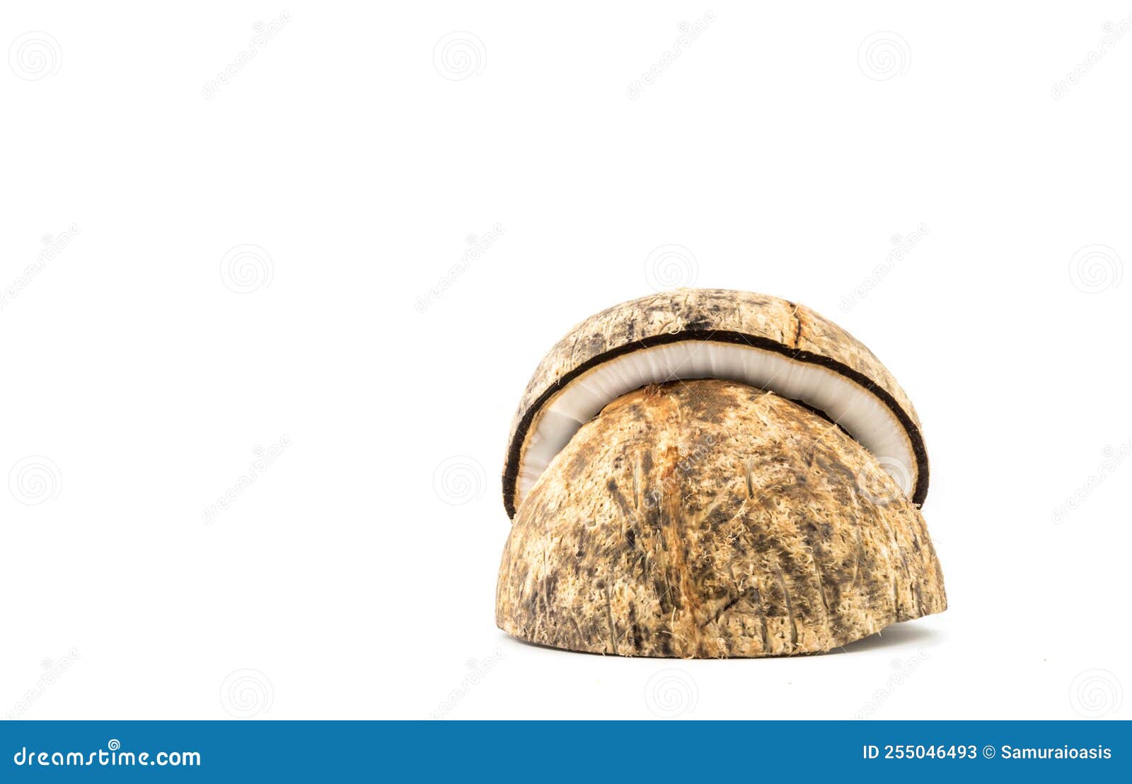 Coconut Half Isolated on White Background Stock Image - Image of