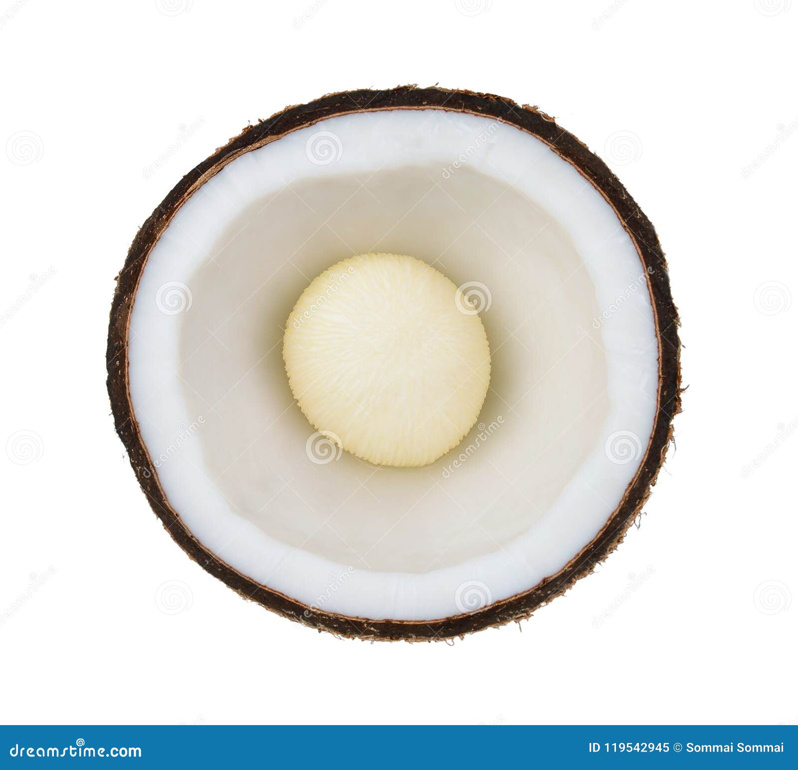 Coconut. Half Isolated on White Background Stock Image - Image of coco
