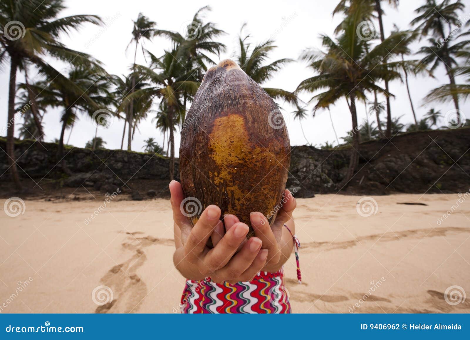 Coconut head stock photo. Image of natural, resort, life 9406962