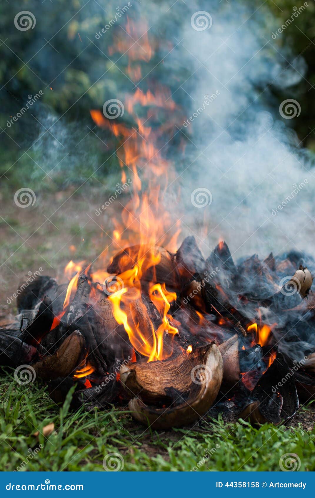 Coconut husks with fire stock photo. Image of fiber, tropical - 44358158