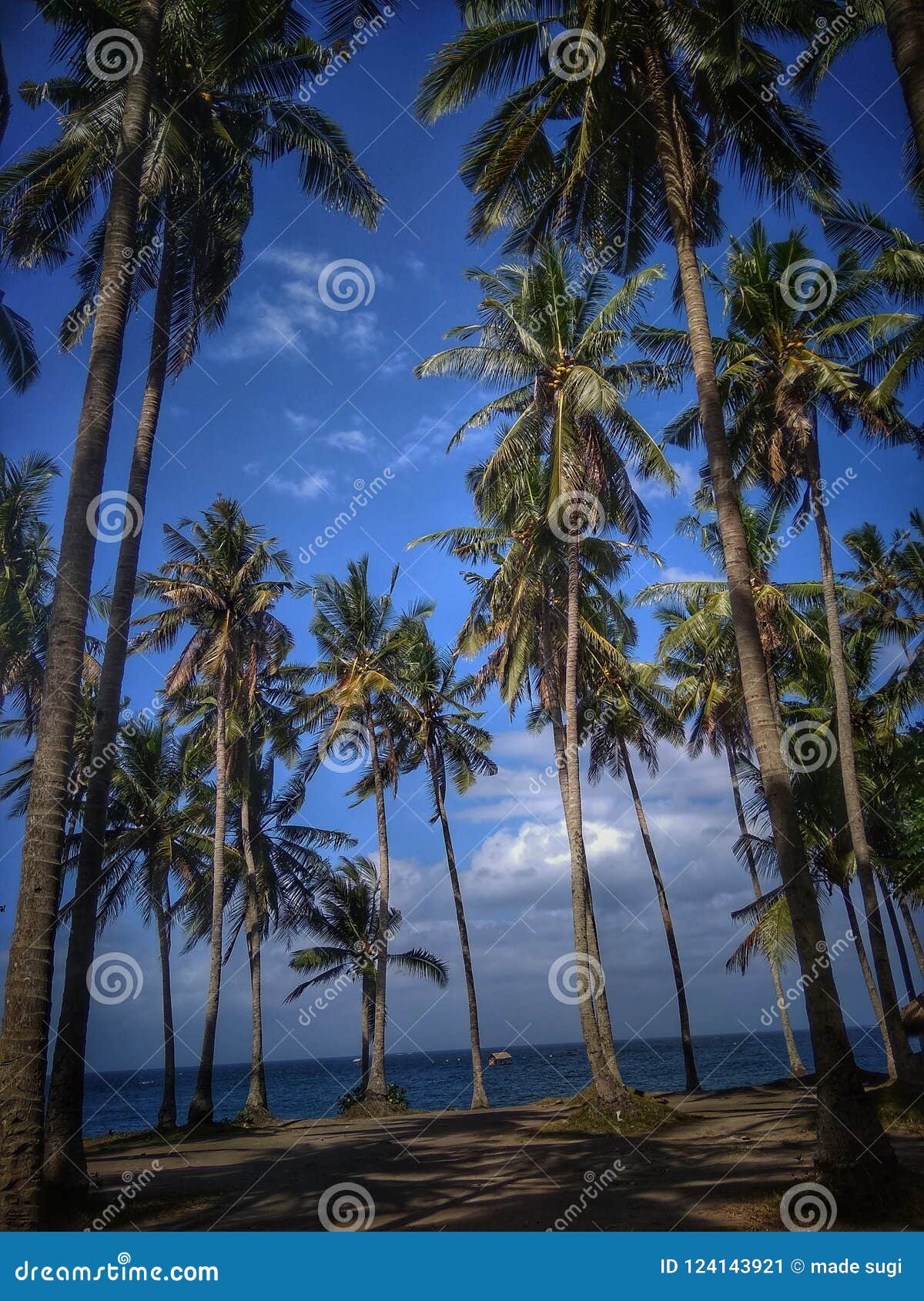 Coconut island stock image. Image of bali, karangasem 124143921