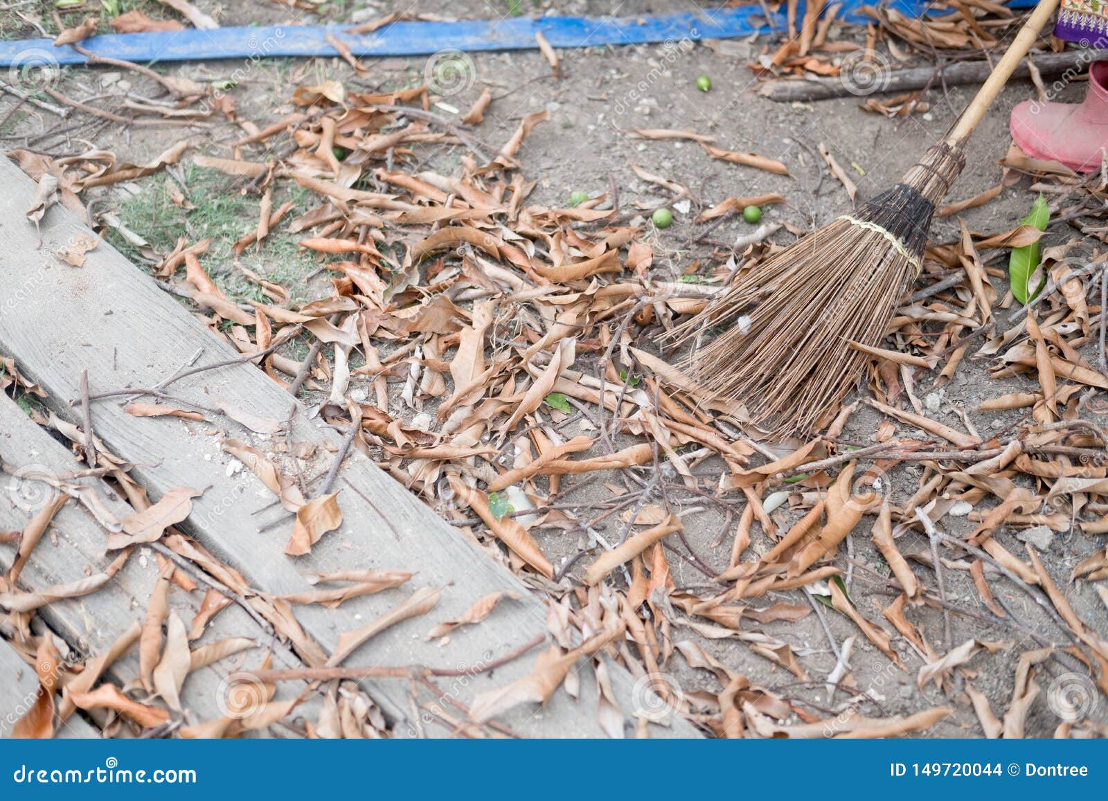 Coconut leaf broom stock photo. Image of broom, asian 149720044