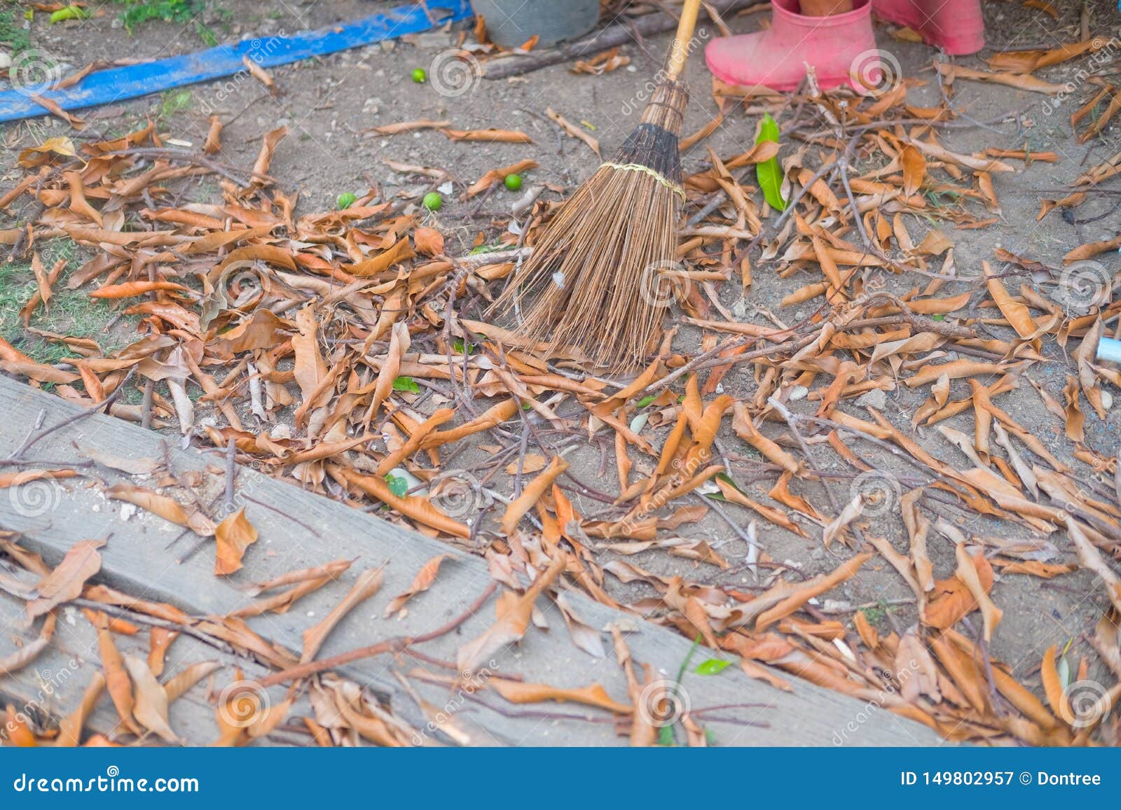 Coconut leaf broom stock image. Image of thai, broomstick 149802957