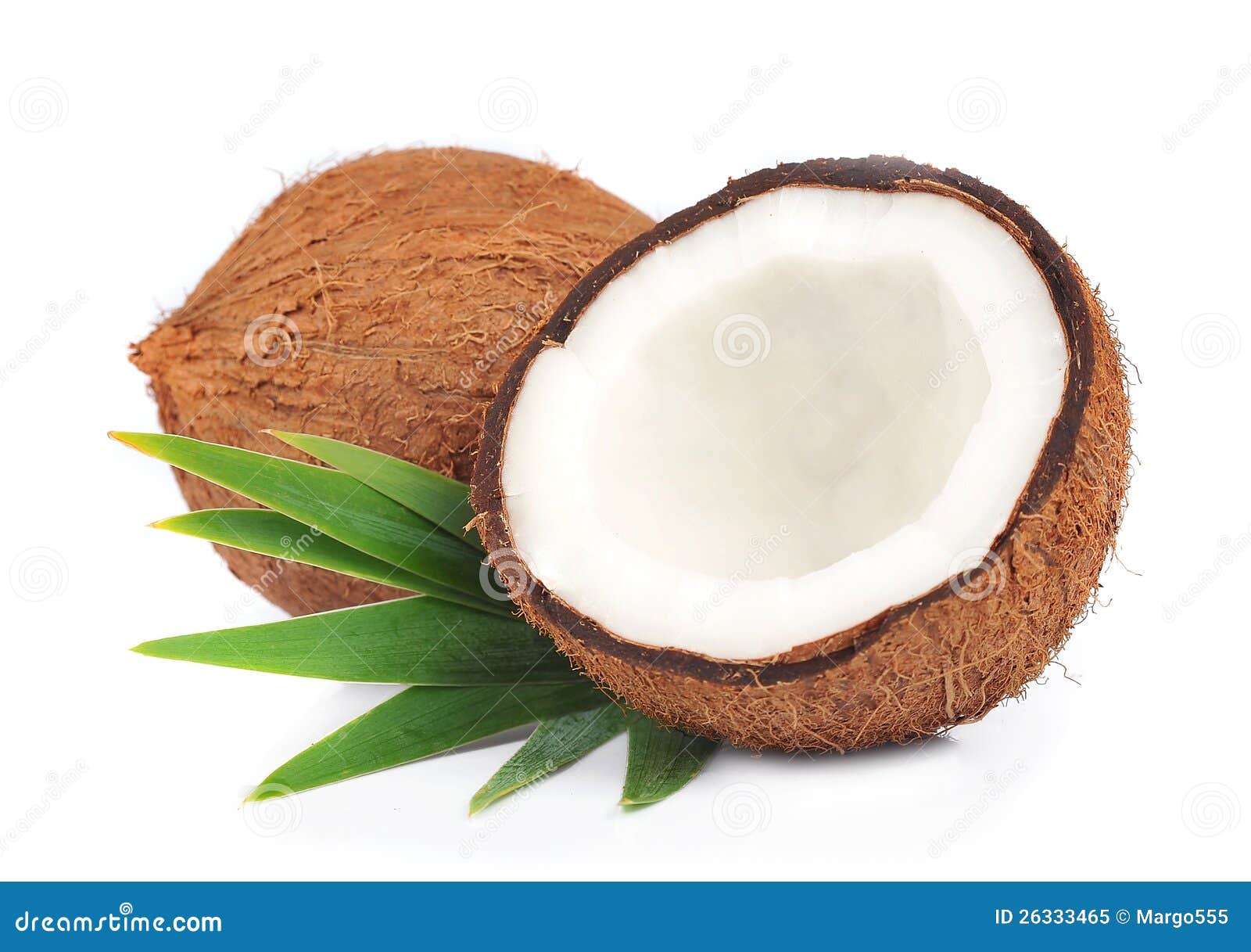 coconut with leaves