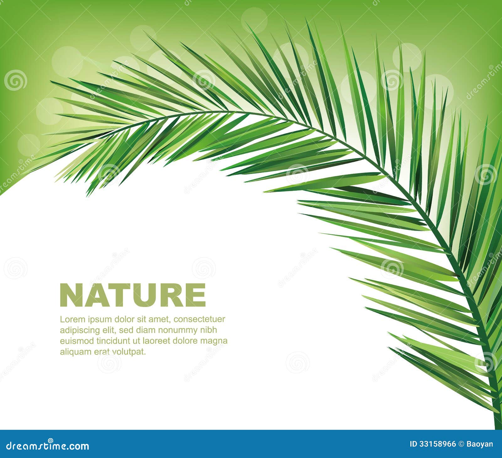 Coconut leaves stock vector. Illustration of leaf, tree - 33158966