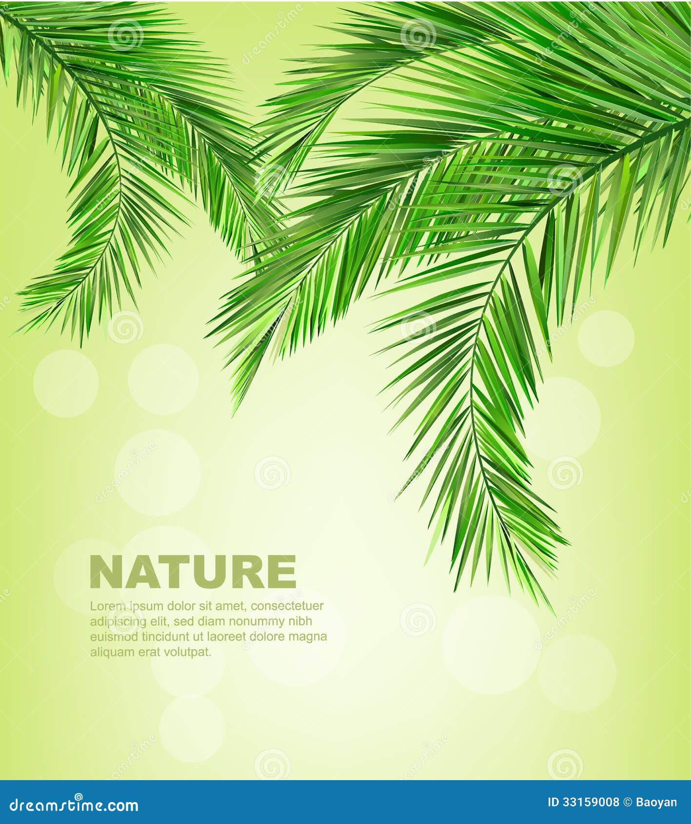 Coconut leaves stock vector. Illustration of forest, leaf - 33159008