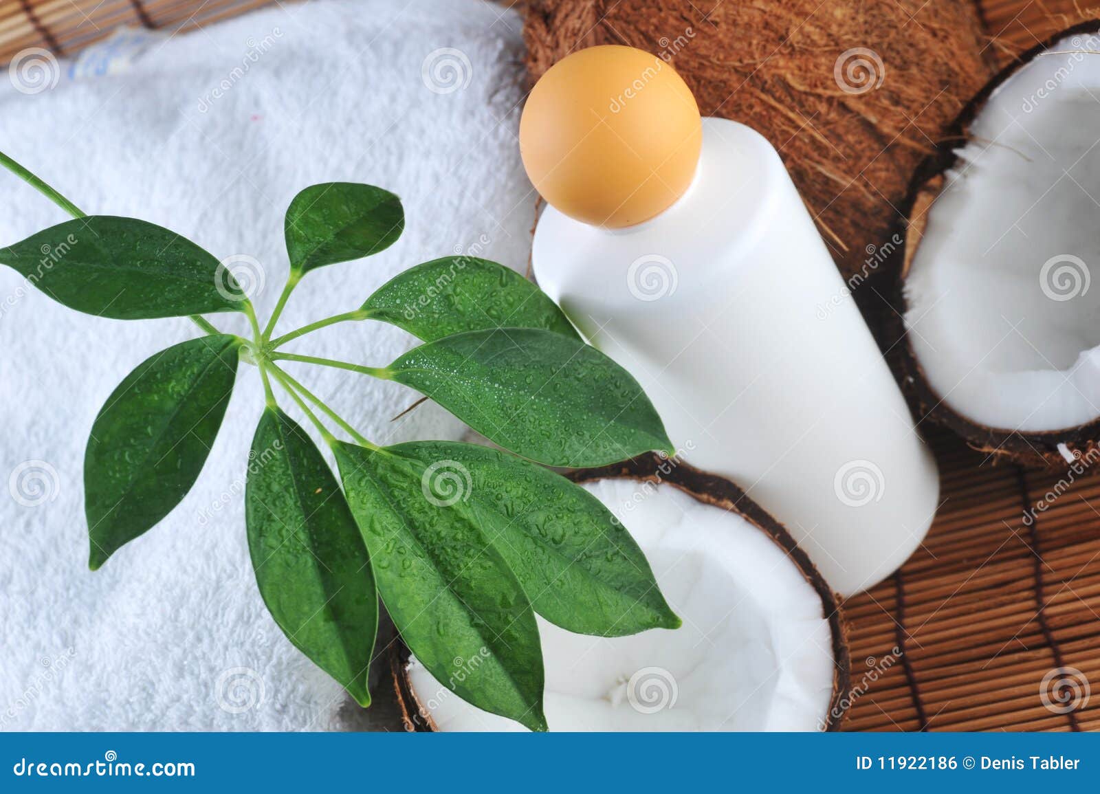 Coconut and massage oil stock photo. Image of close, healthy 11922186