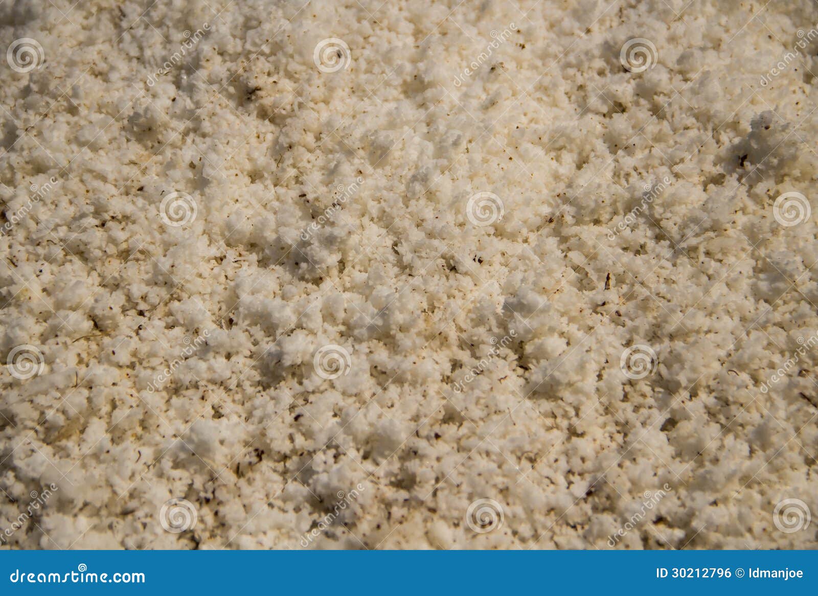 Coconut meat texture stock photo. Image of beautiful 30212796