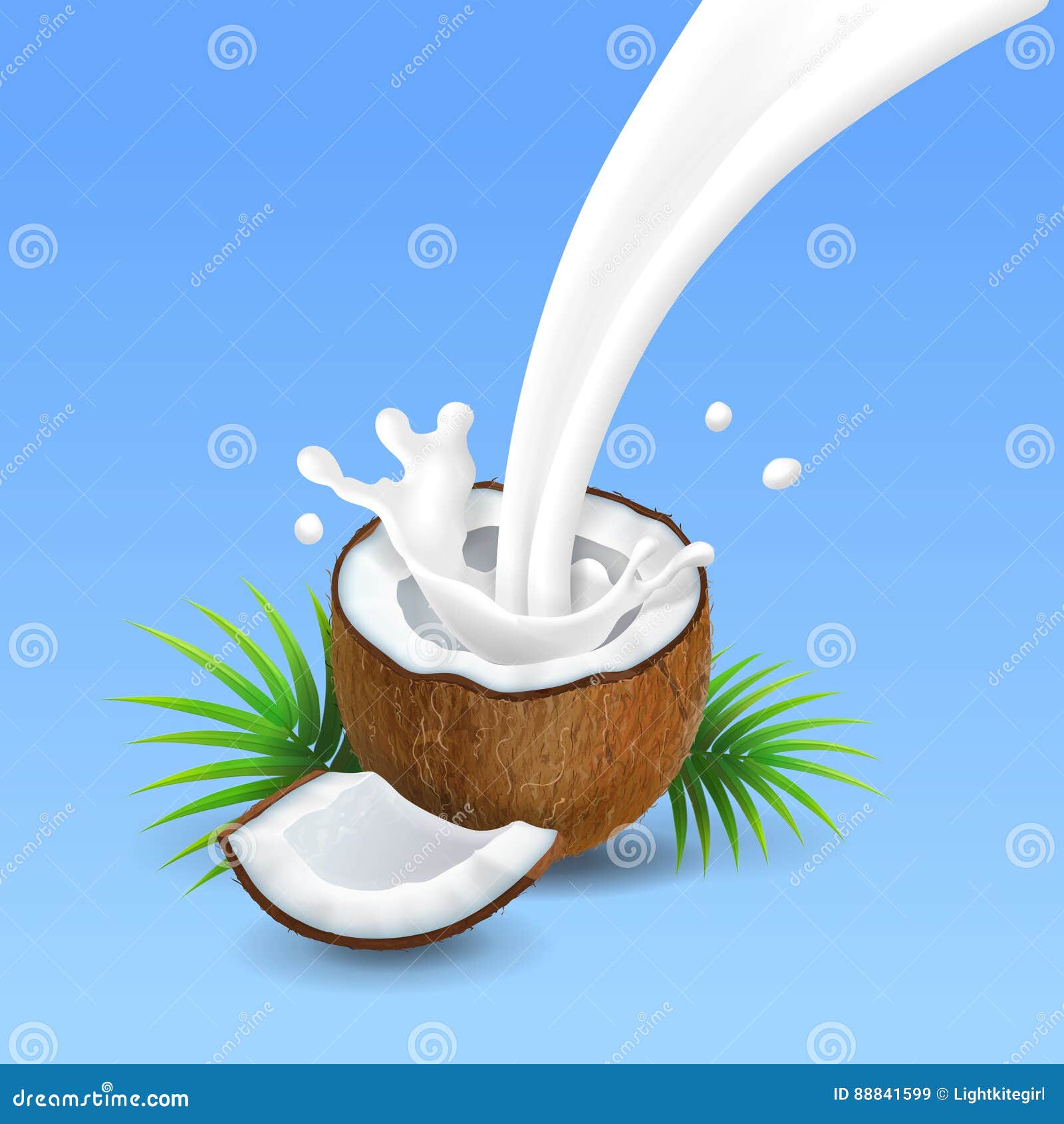 Coconut with Milk Splash Vector Illustration Stock Vector