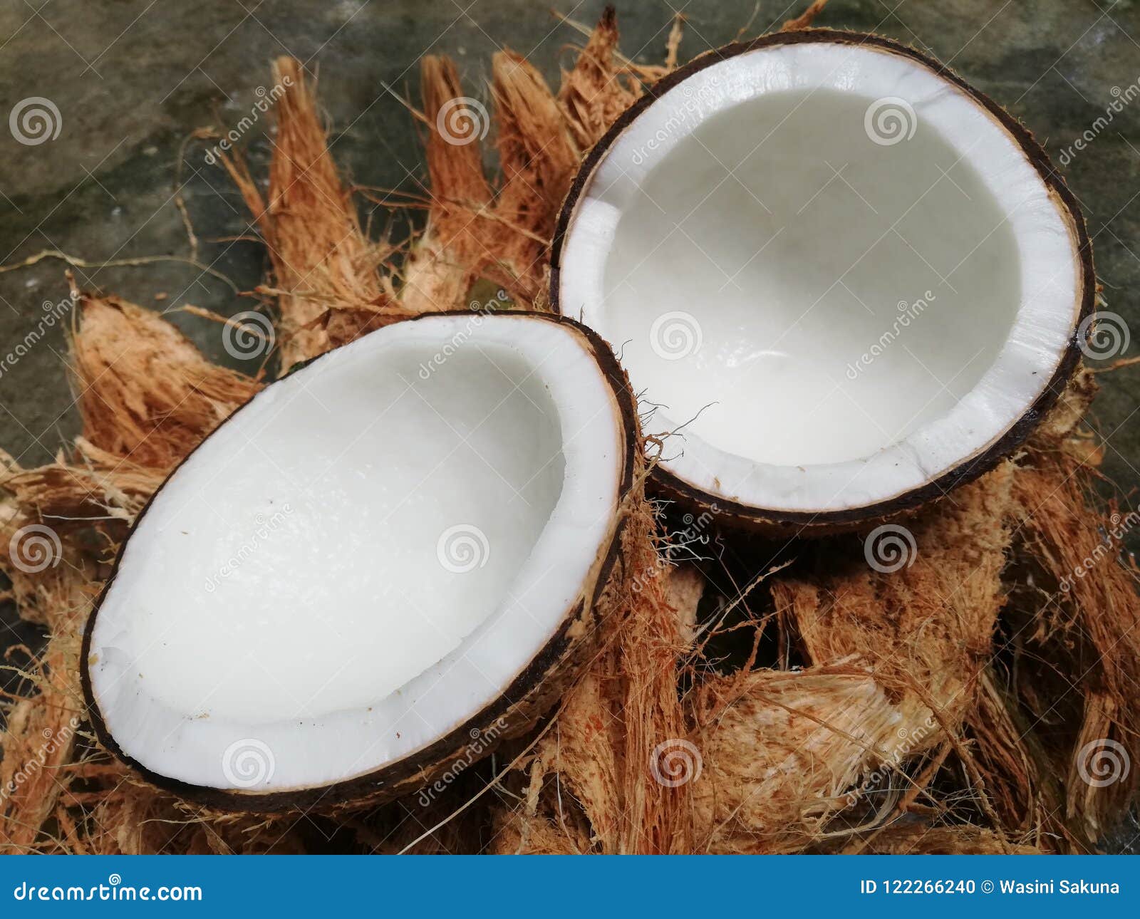 Coconut stock photo. Image of fruit, coconut, food, milk 122266240