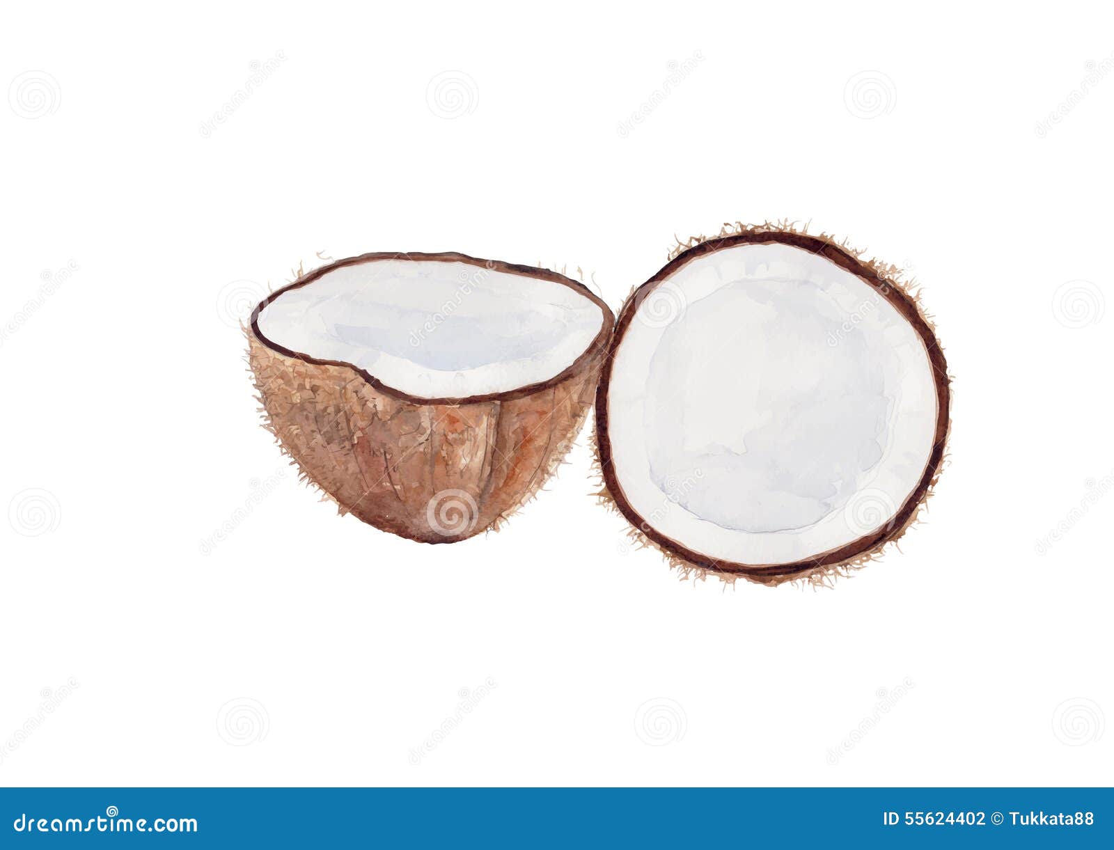 Coconut Milk Watercolor Background Stock Vector Illustration of