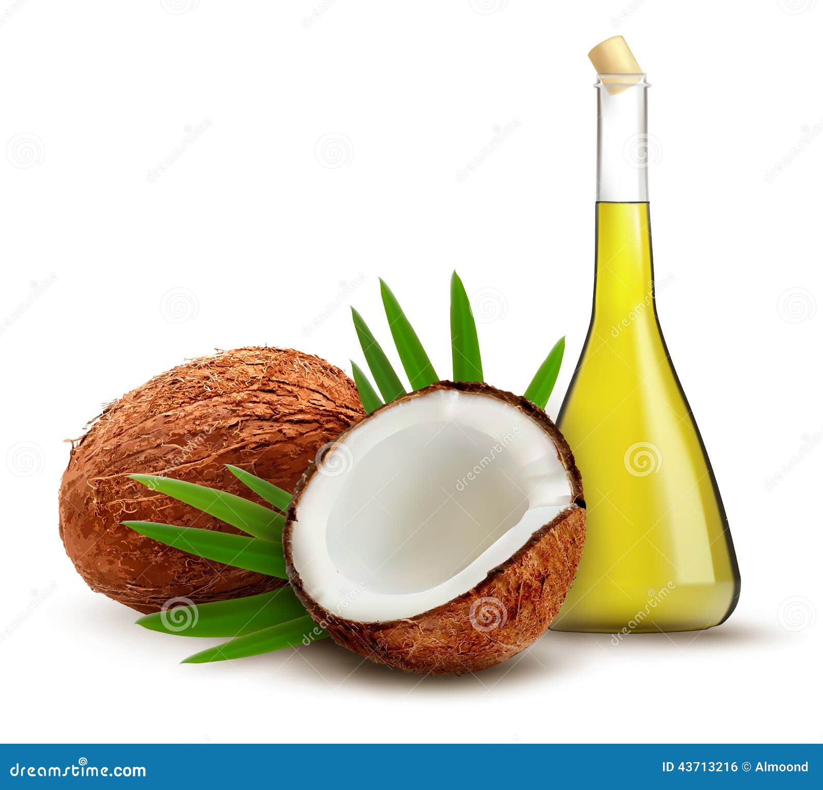 Coconut with oil. stock vector. Illustration of healthy - 43713216