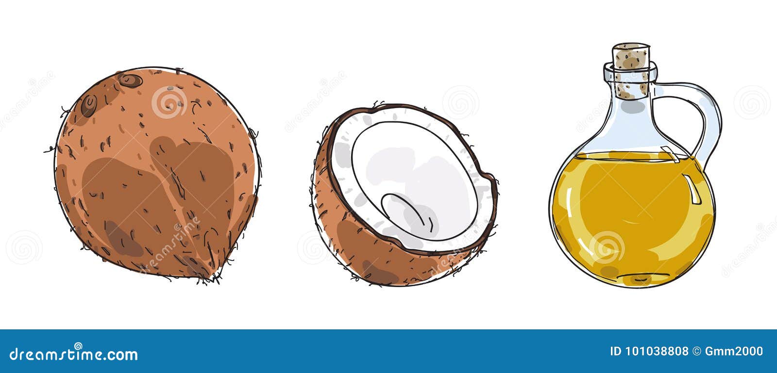 Coconut and Coconut Oil Hand Drawn Vector Art Illustration Stock Vector