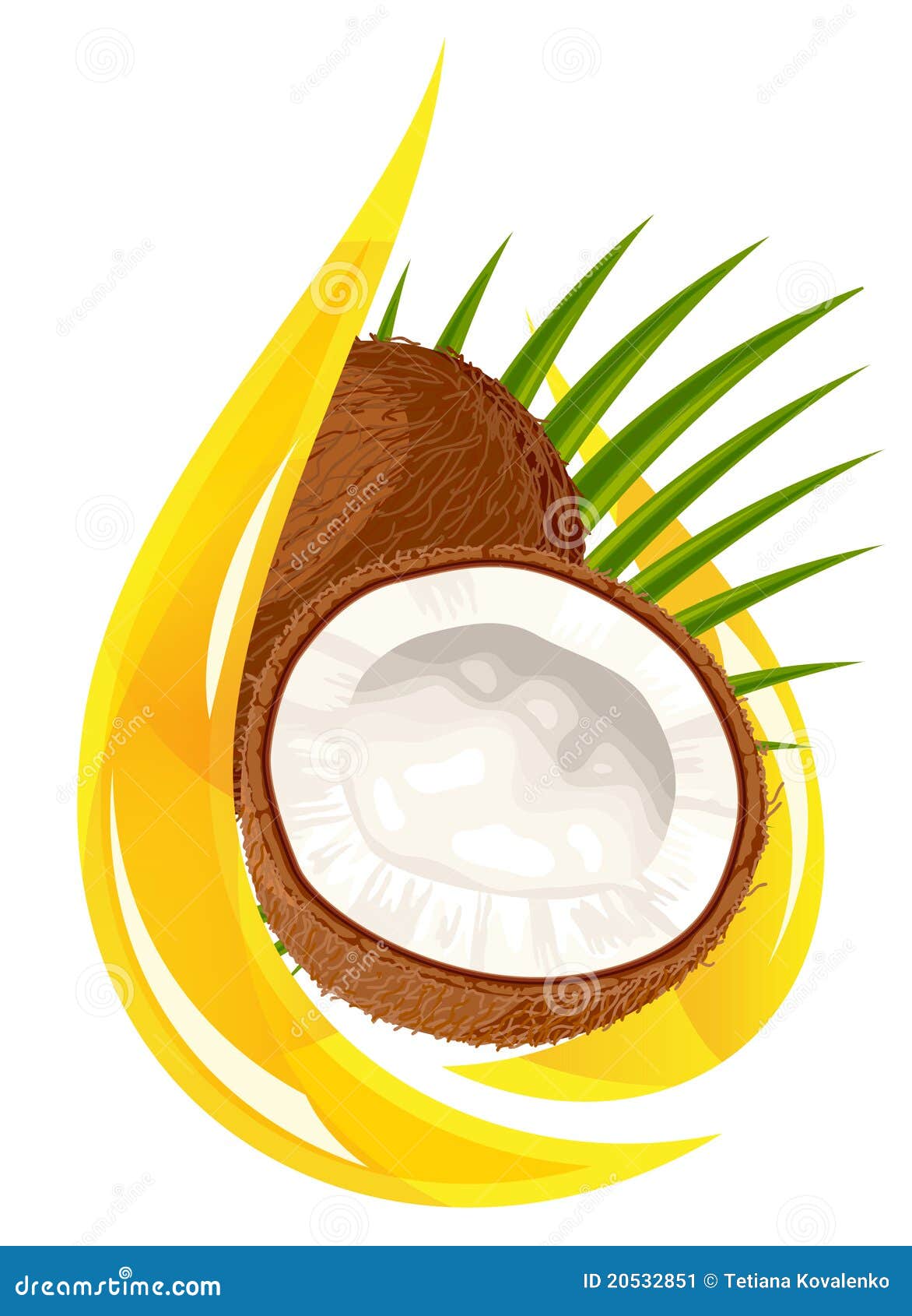 Coconut oil. Stylized drop stock vector. Illustration of vivid 20532851