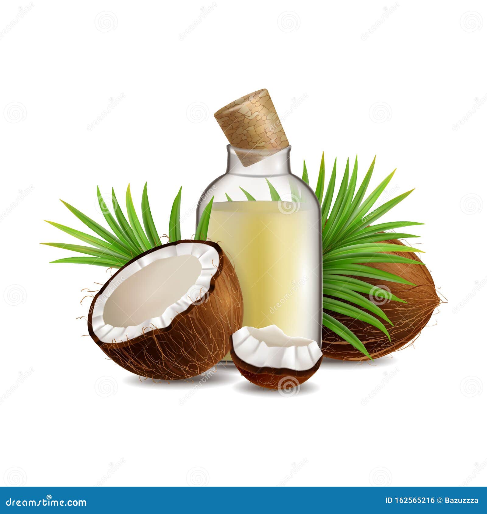 Natural and Organic Coconut Oil Vector Realistic Illustration Stock ...