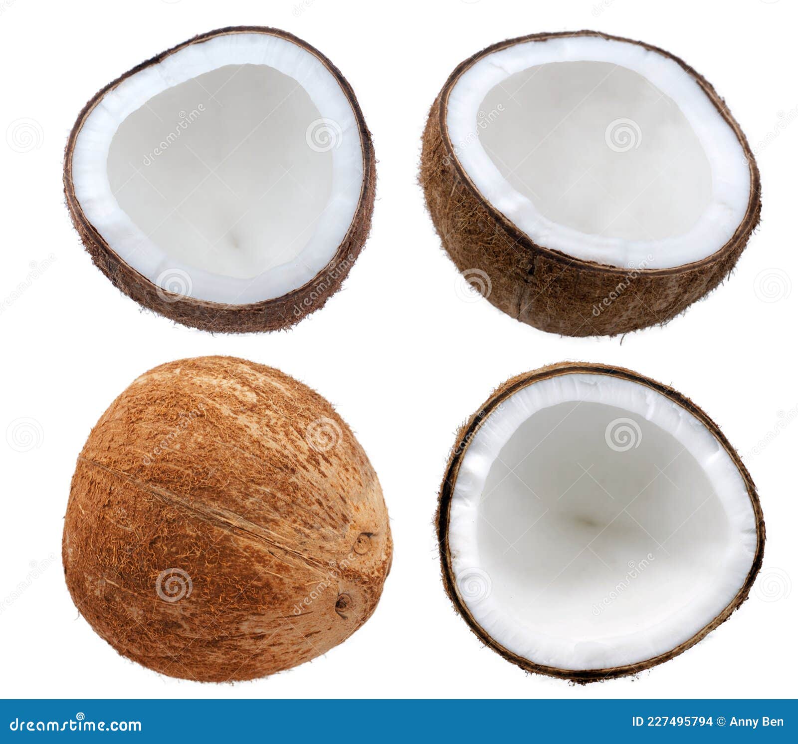 Coconut Palm Fruits Isolated on White Background Stock Photo Image of