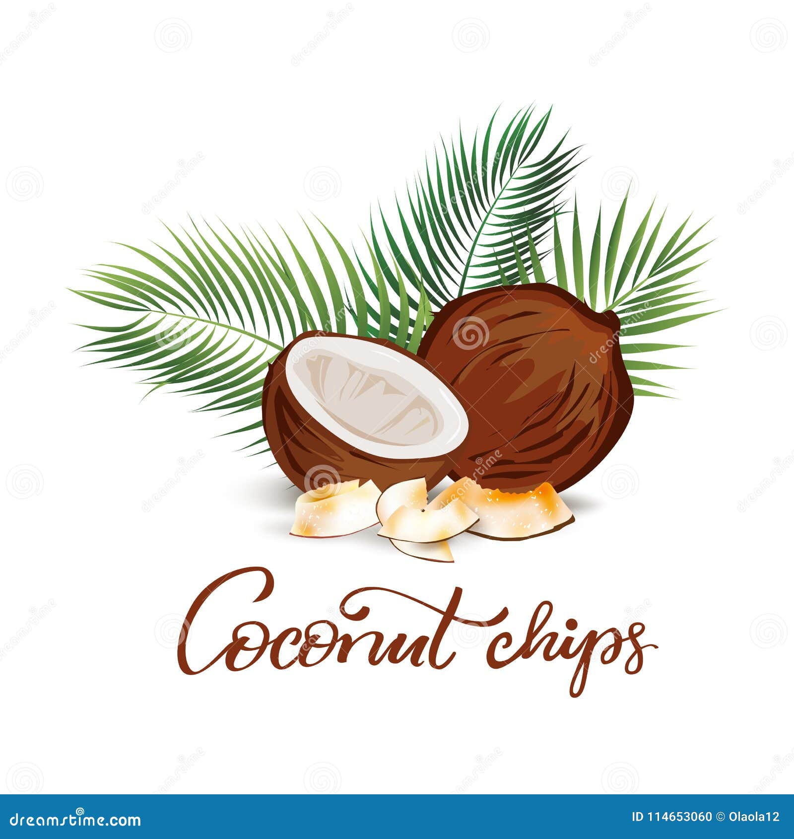 Coconut and Palm Leaves Illustration Stock Vector - Illustration of ...