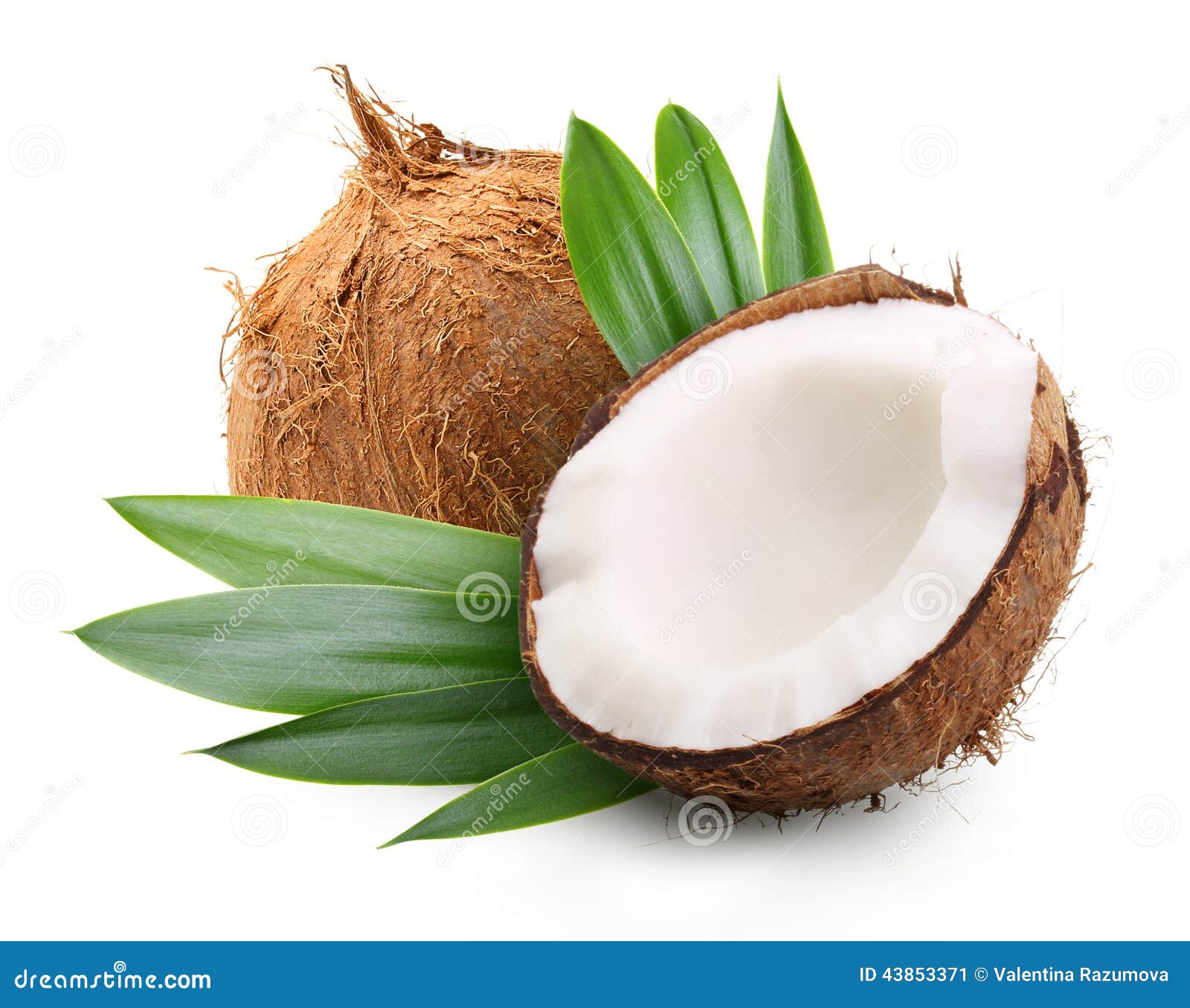 coconut with palm leaves