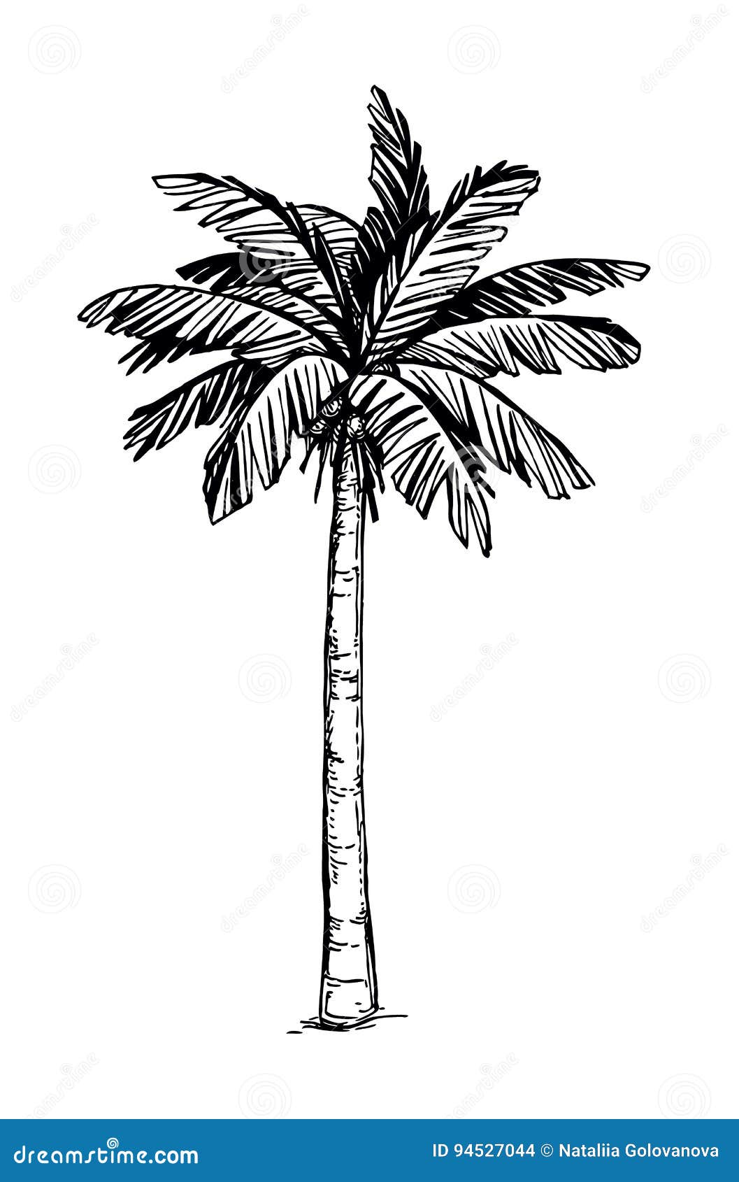 230550 Palm Tree Drawing Images Stock Photos  Vectors  Shutterstock