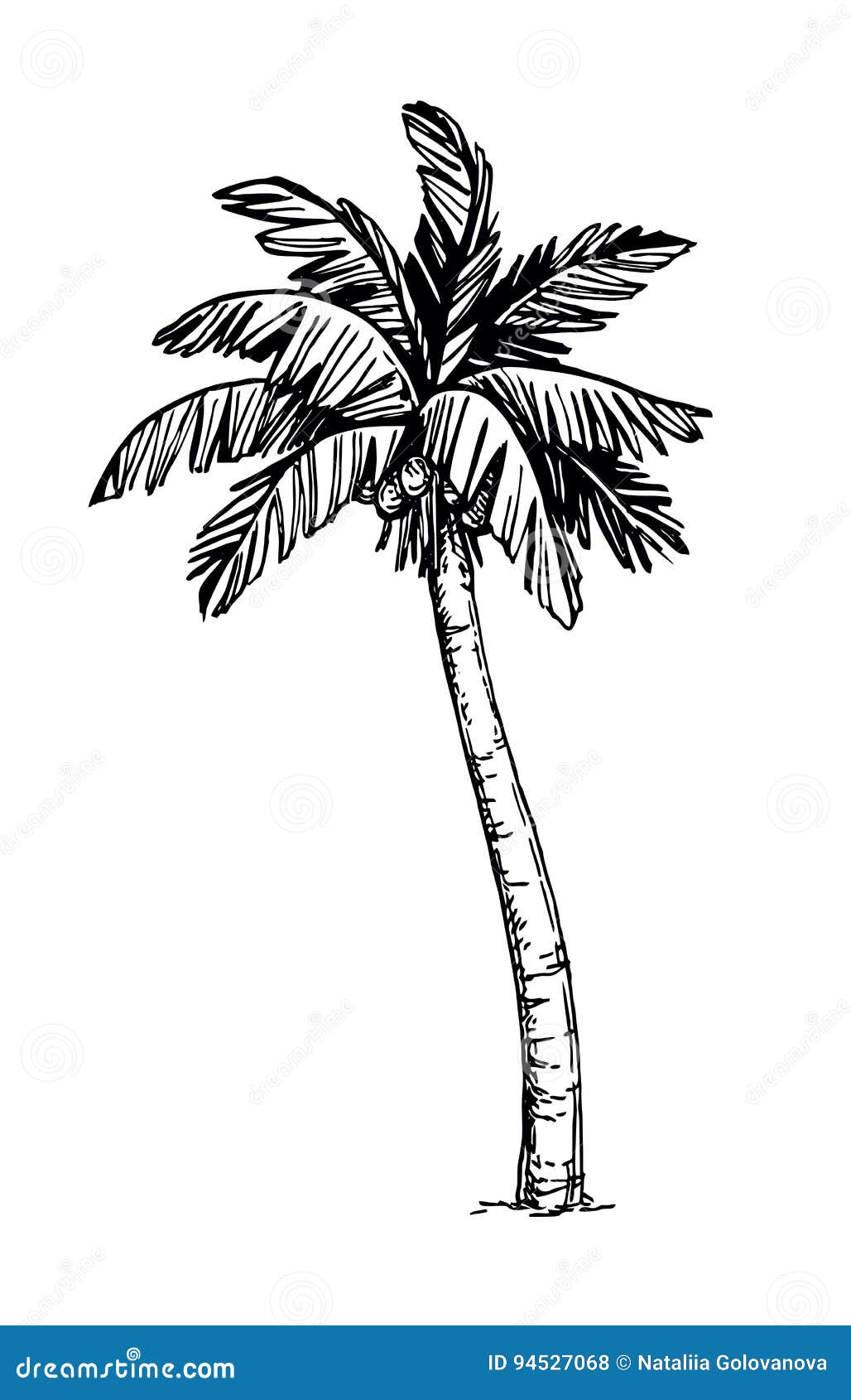 Palm Tree Dotted Drawing PNG Transparent SVG Vector  OnlyGFXcom