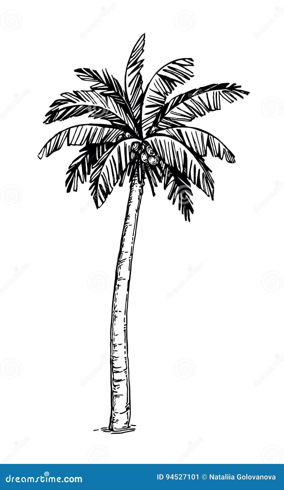How to Draw a Palm Tree on an Island VIDEO  StepbyStep Pictures