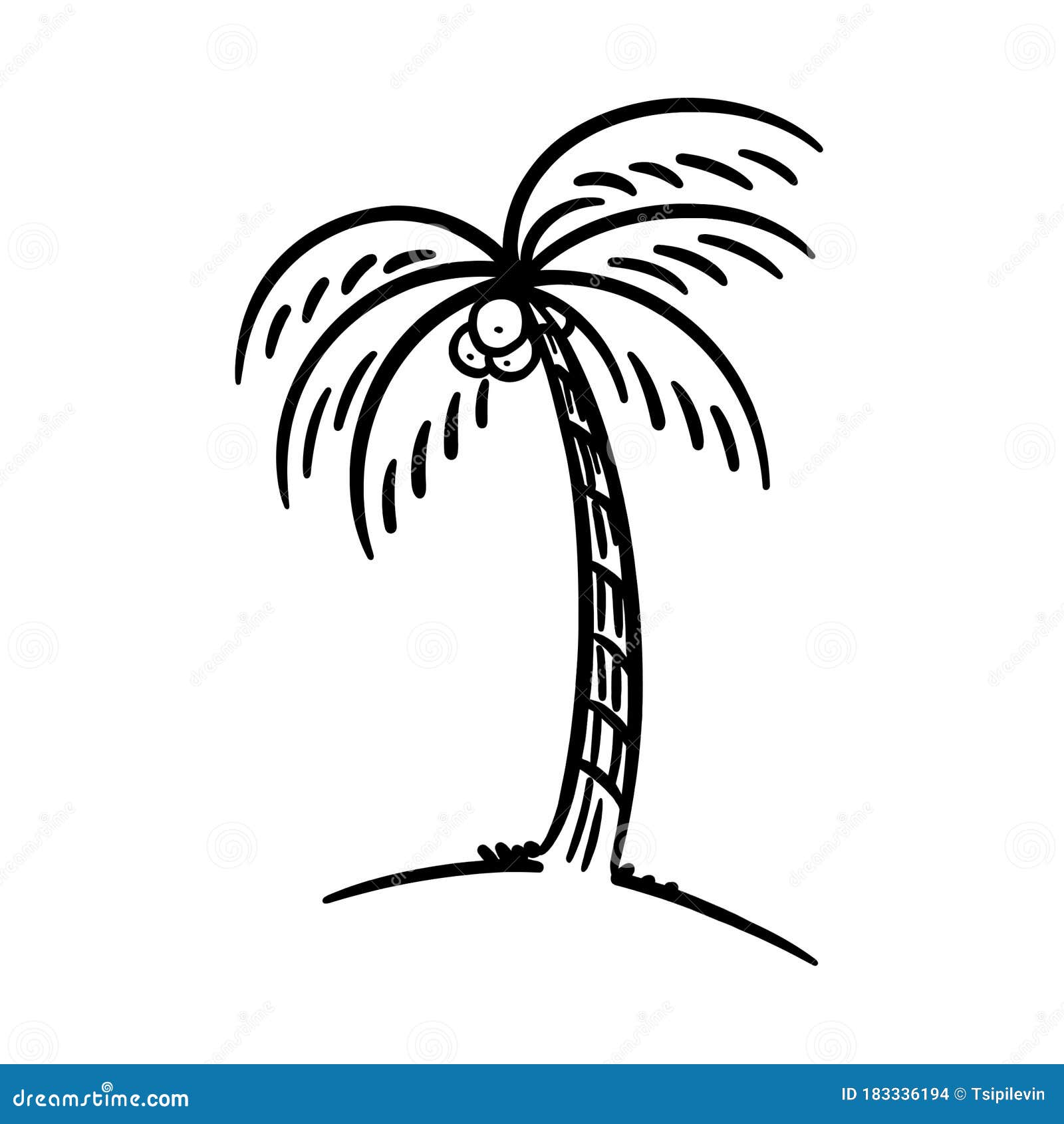 Coconut Palm Tree Outline Illustration Stock Illustration ...