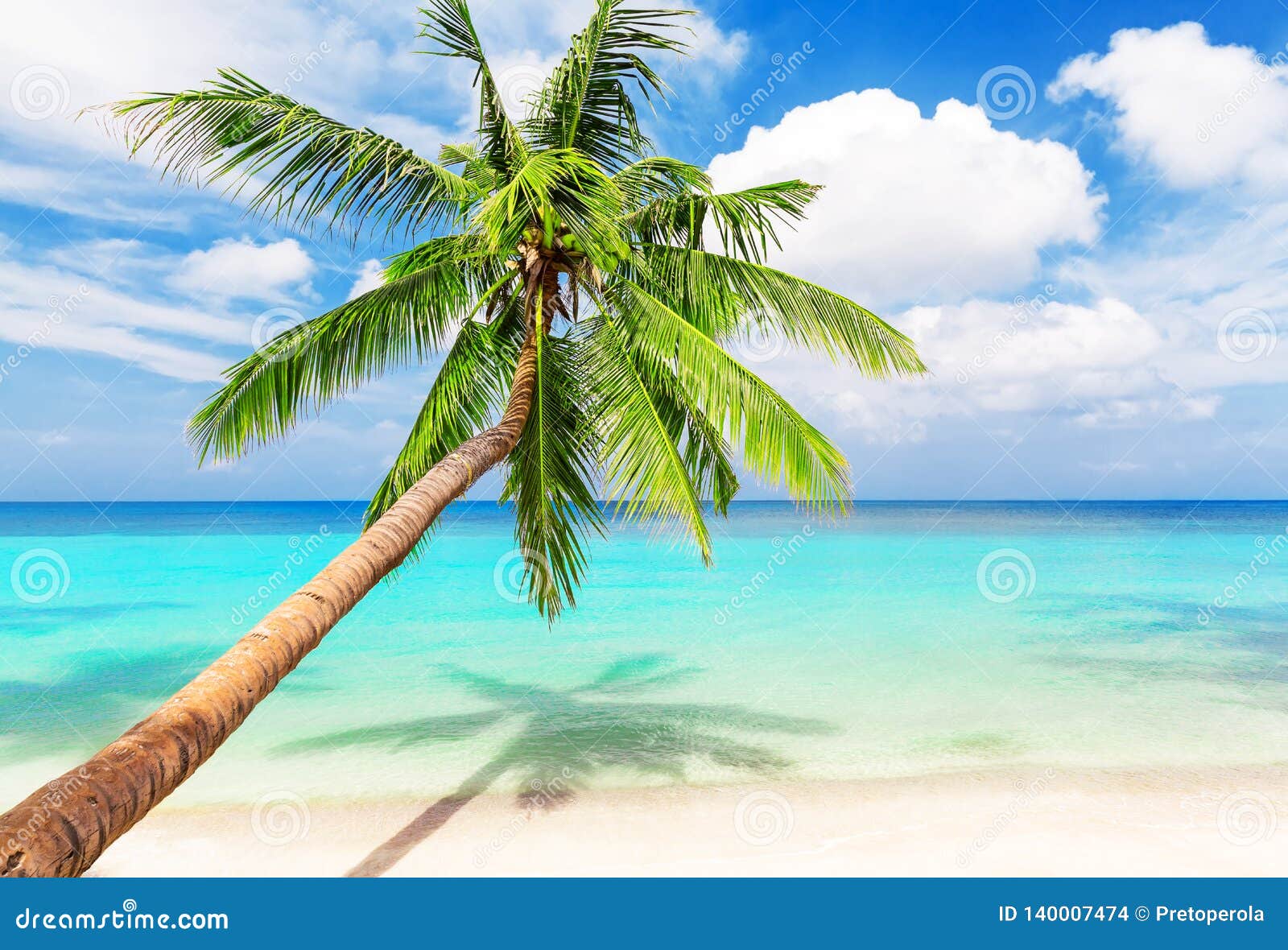 Coconut Palm Trees on White Sandy Beach Stock Photo - Image of leaf ...