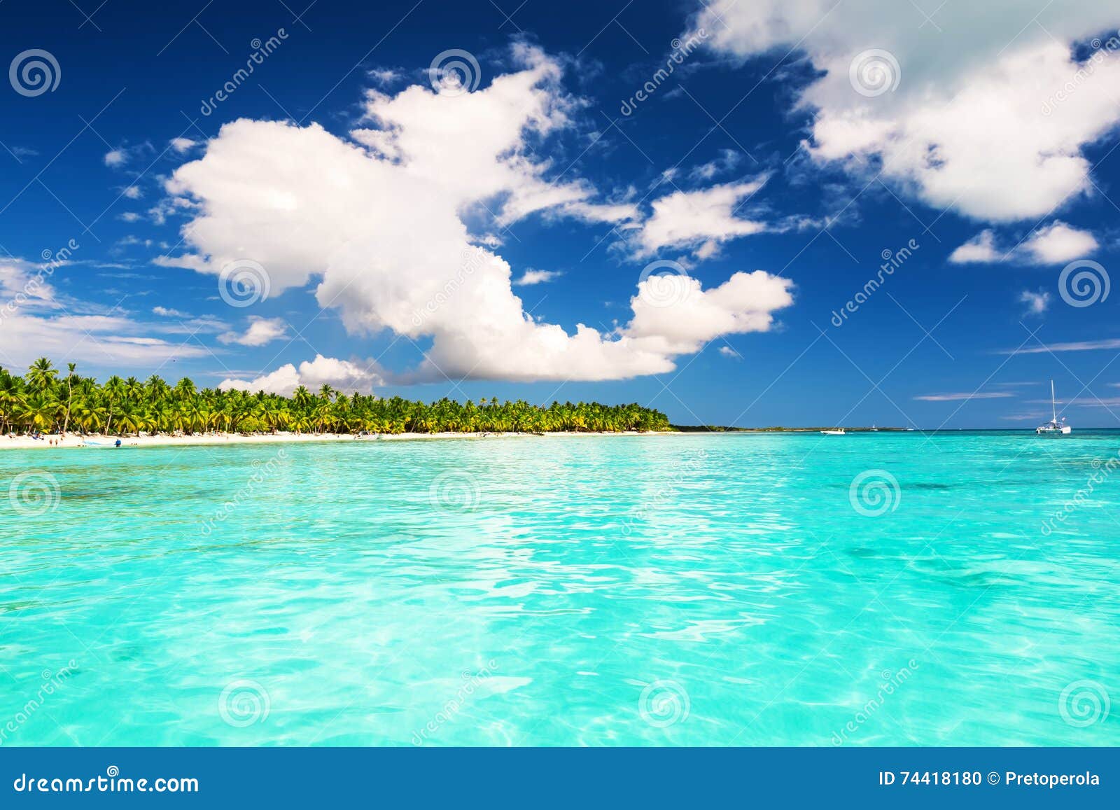 coconut palm trees on white sandy beach in saona island, dominic