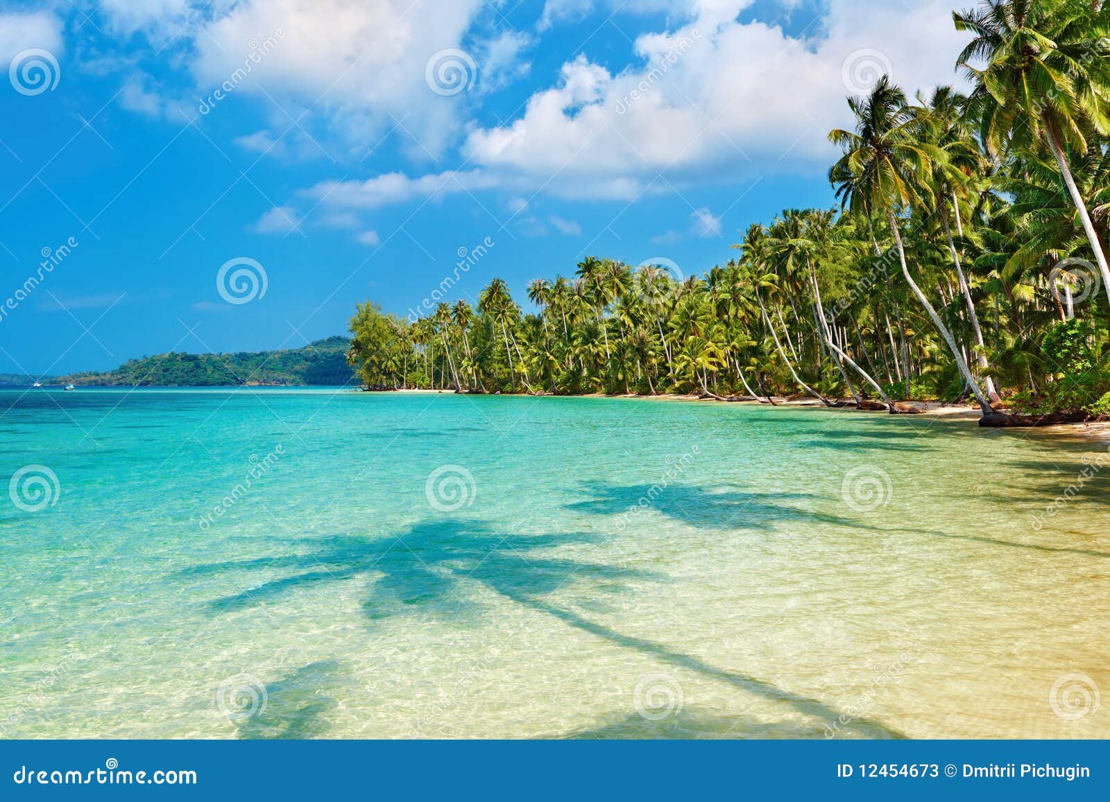 Coconut palms on the beach stock image. Image of green 12454673