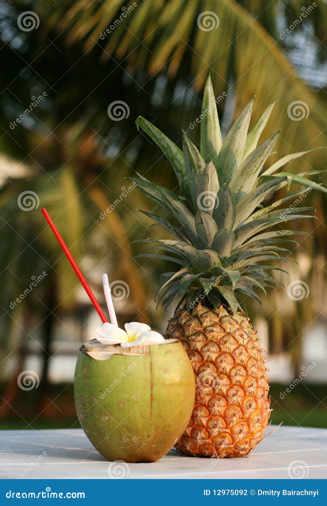 Coconut and pineapple stock photo. Image of citrus, milk - 12975092