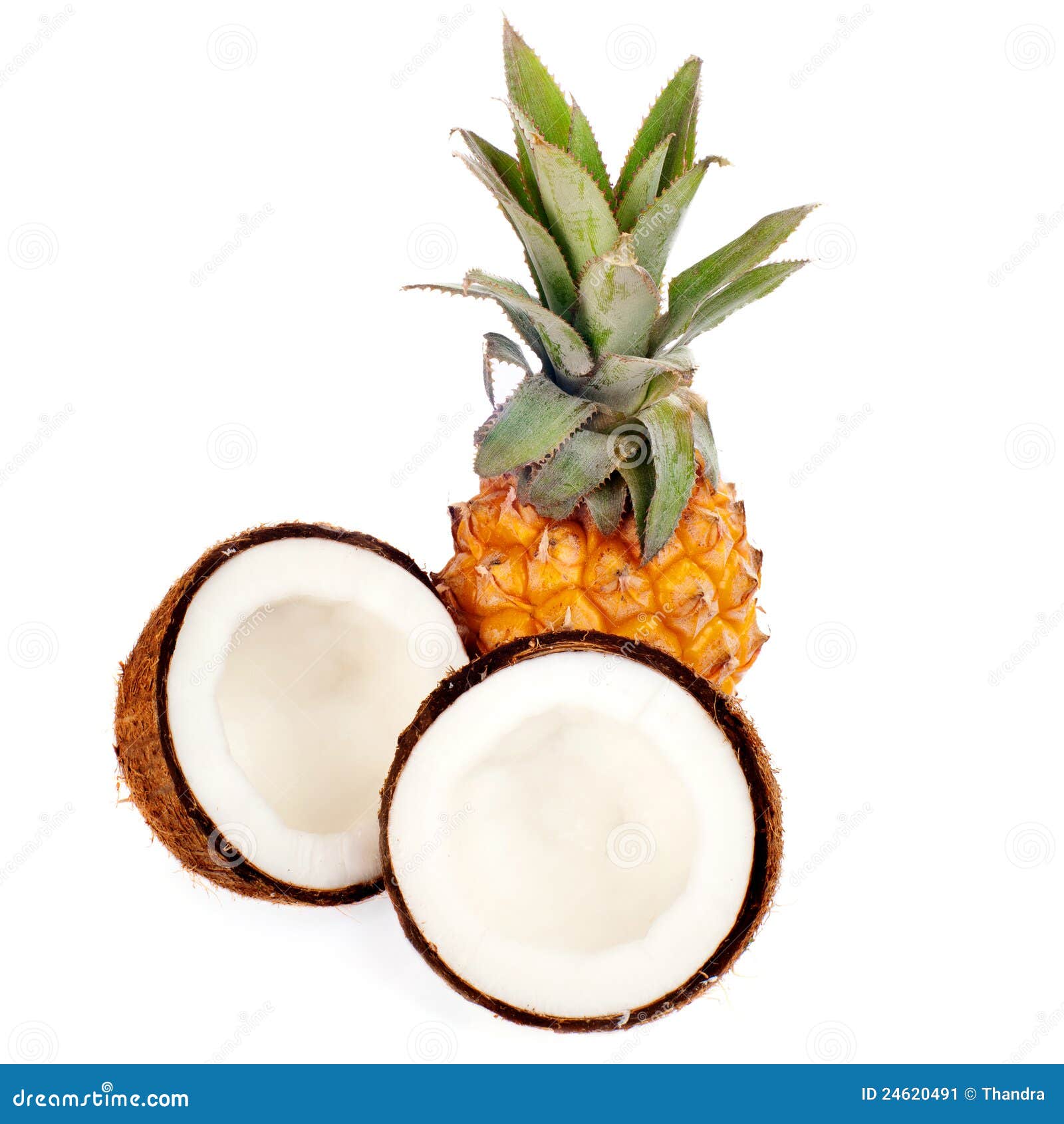 Coconut and Pineapple Isolated Stock Image Image of fruit, pineapple