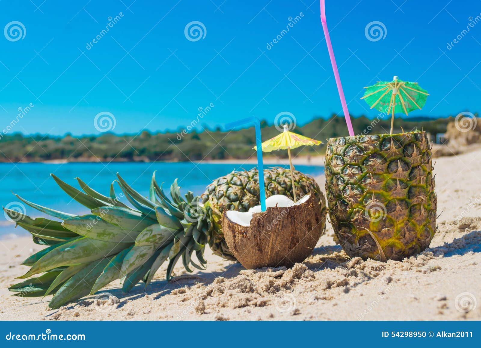 Coconut and Pineapples by the Shore Stock Photo Image of fruit