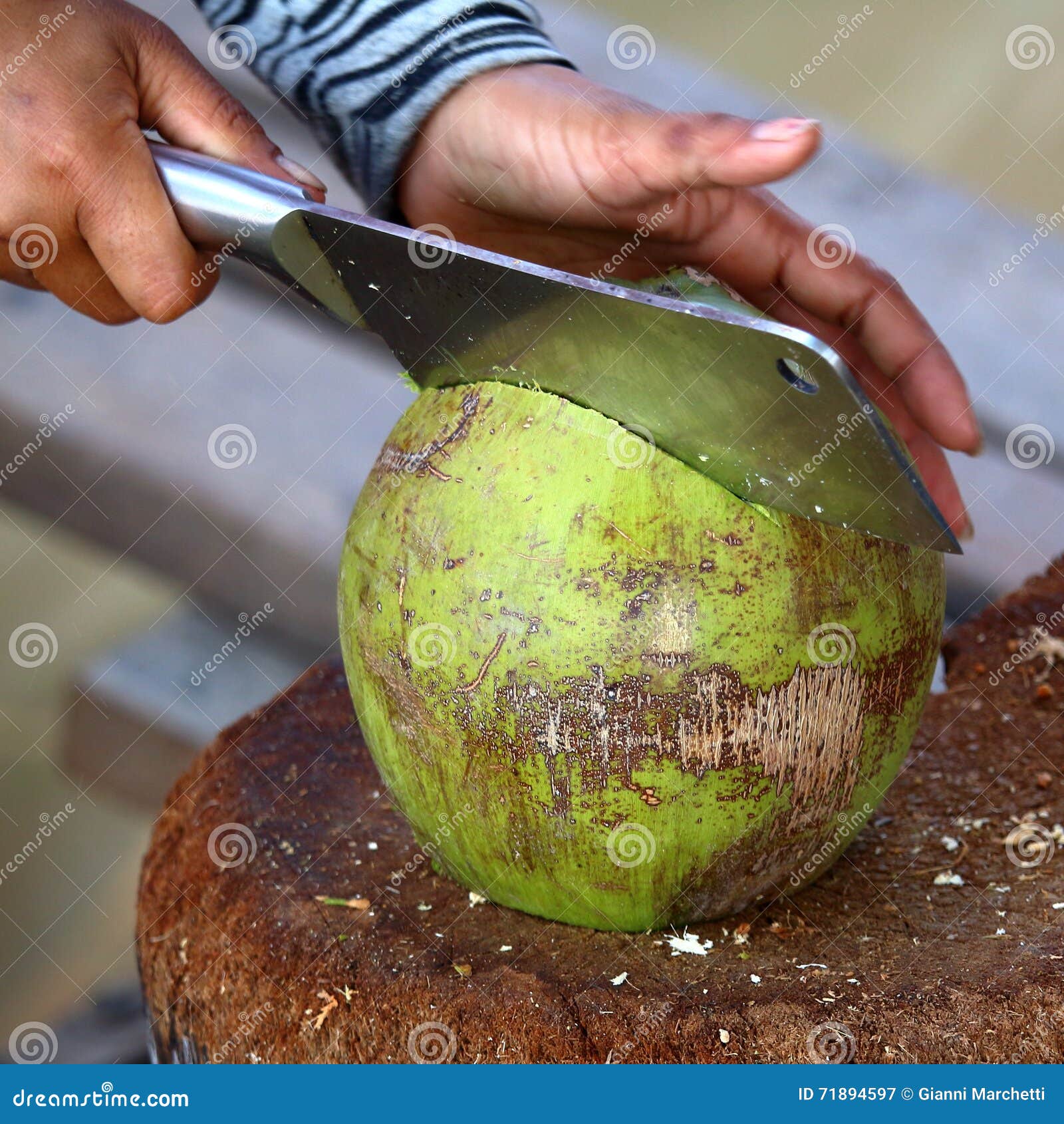 Coconut Preparation Cutting Stock Image Image of coconut, drink