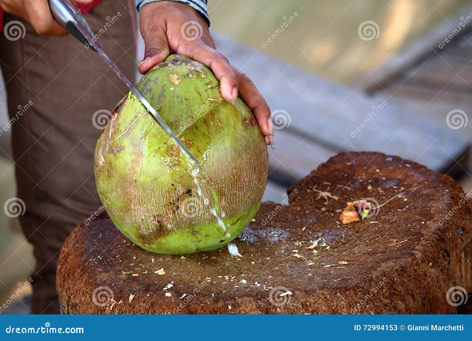 Coconut Preparation Cutting Stock Image Image of palm, agriculture