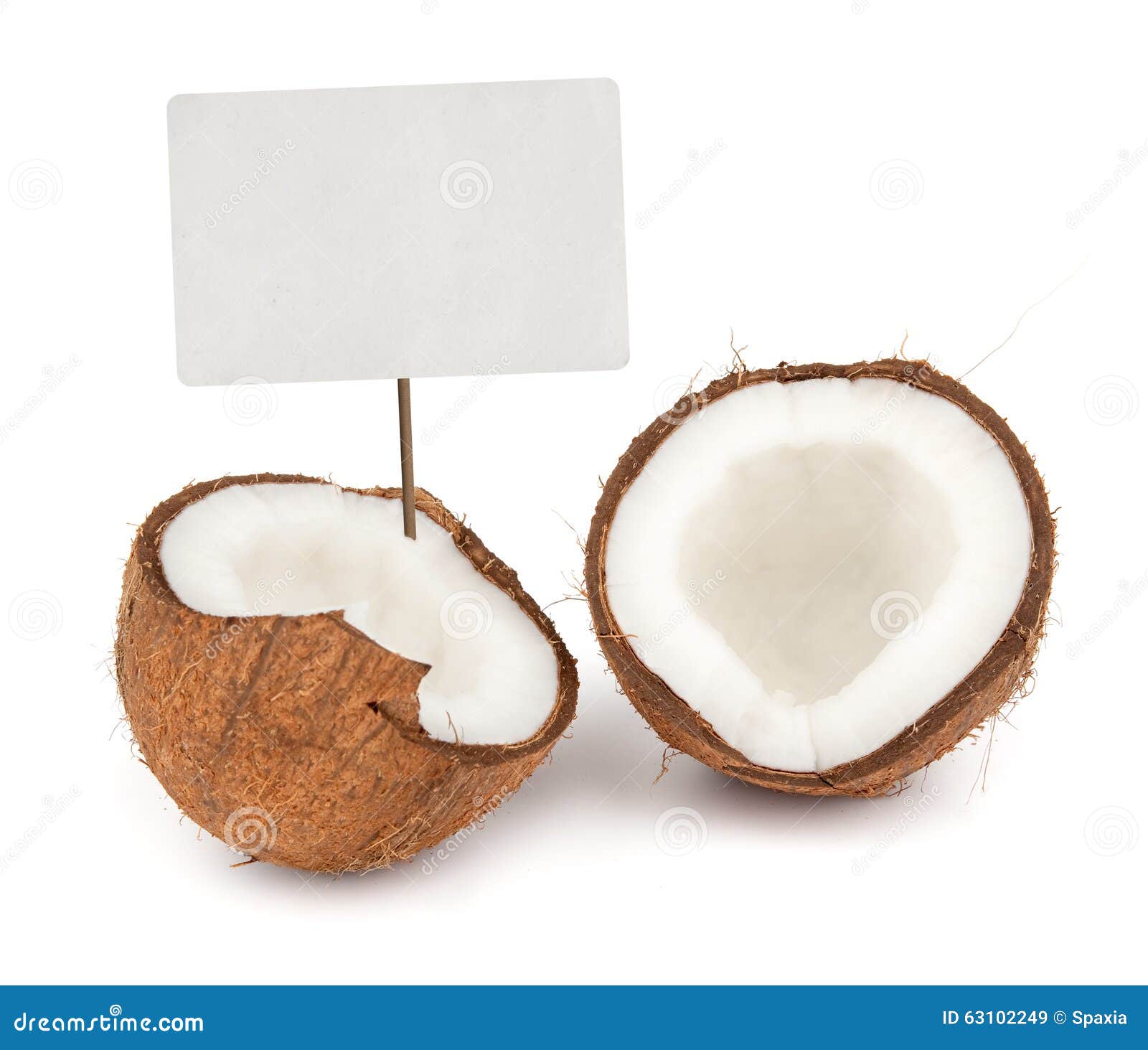 Coconut With Price Tag Stock Image Image Of Background 63102249 coconut-with-price-tag-stock-image-image-of-background-63102249