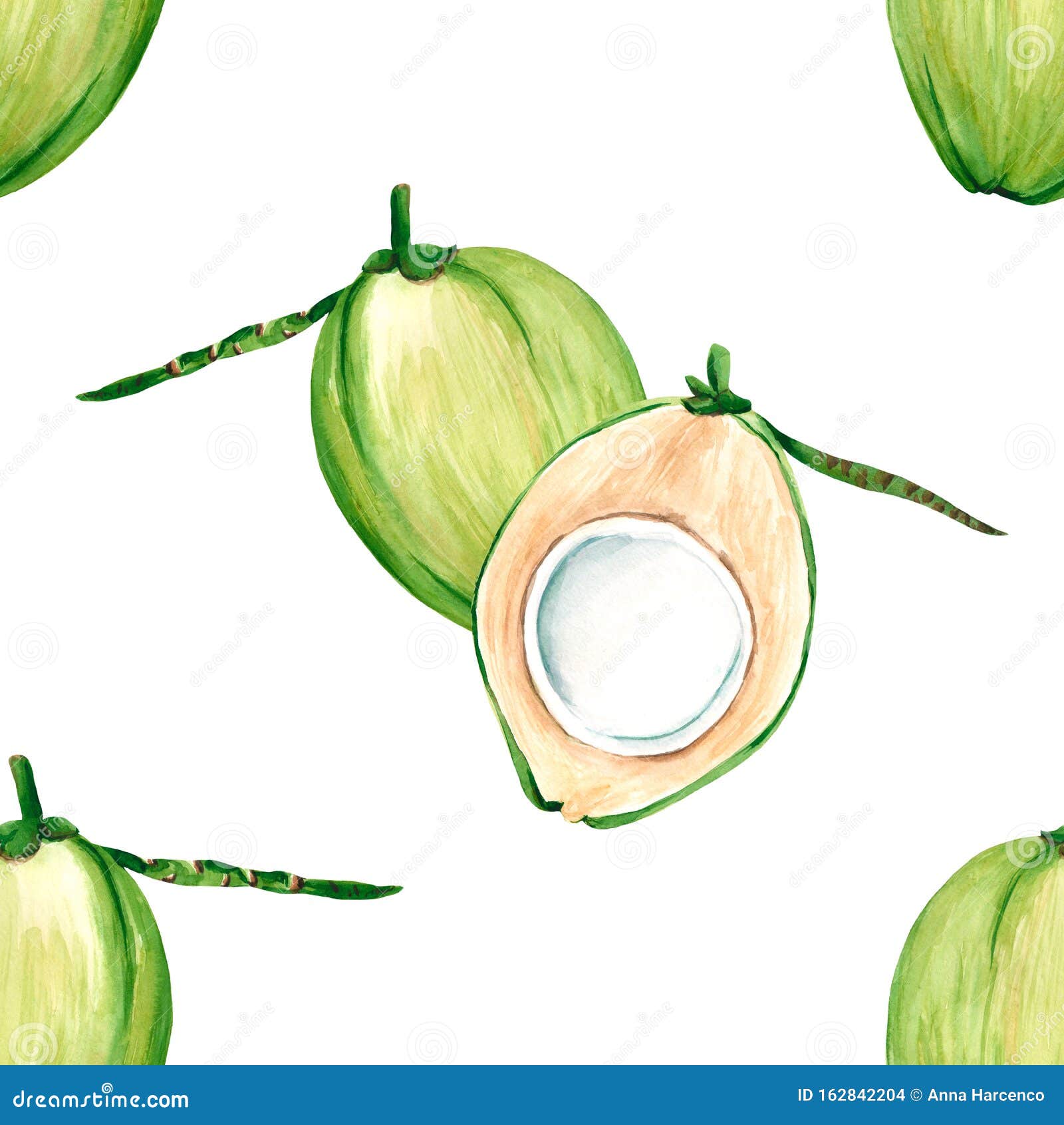 Coconut Samples Pattern. Fresh Young Green Coconuts on a White