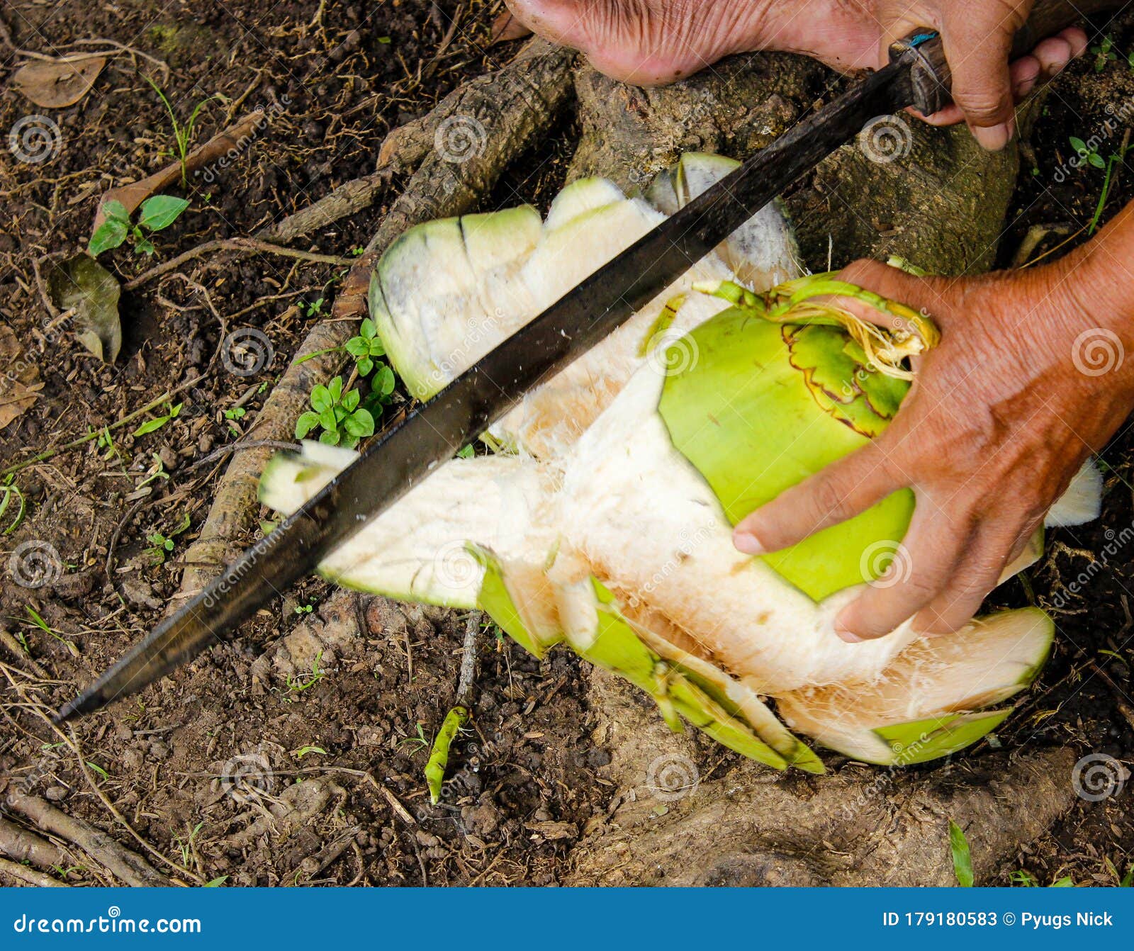 Sharpededge Stock Photos Free & RoyaltyFree Stock Photos from Dreamstime