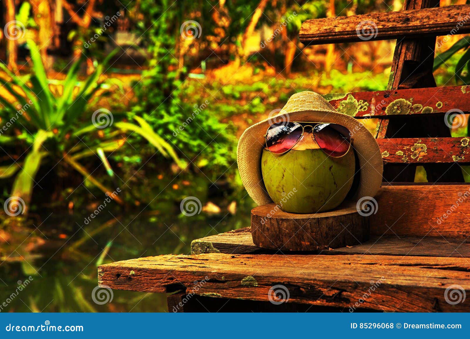 Coconut with Straw Hat and Bright Sunglasses Stand on the Bench in Warm