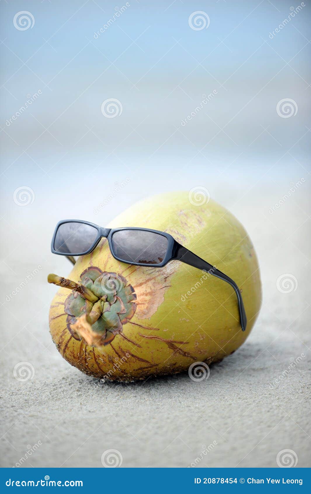 coconut sunglasses