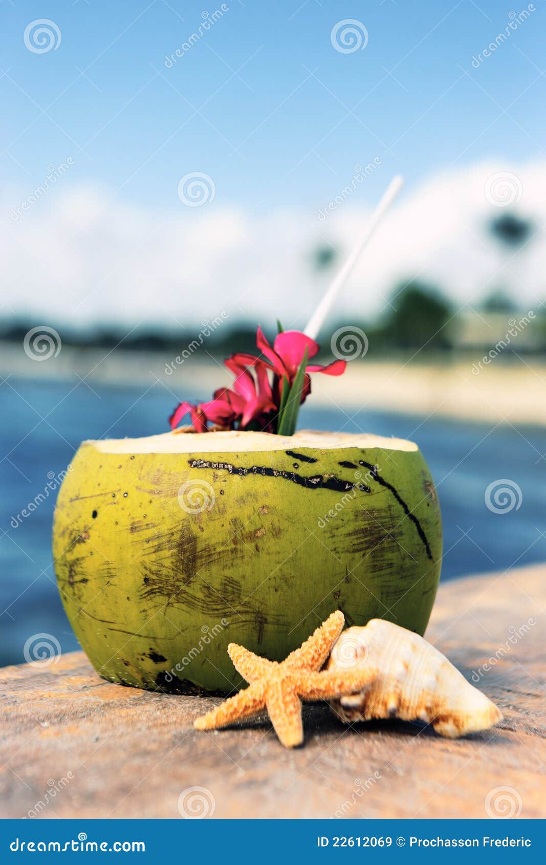 Coconut time stock image. Image of ocean, outdoor, coast 22612069