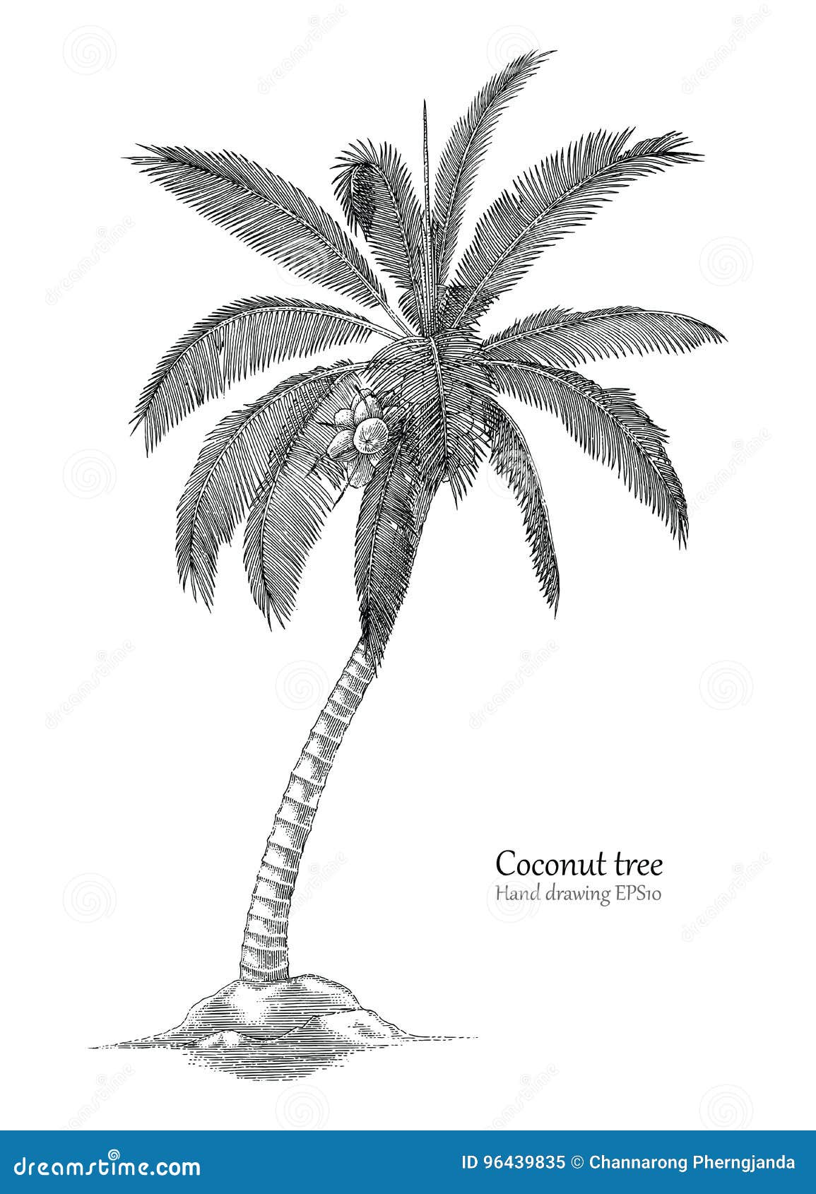 How to draw a coconut tree very easy | SIMPLE DRAWING - YouTube-saigonsouth.com.vn