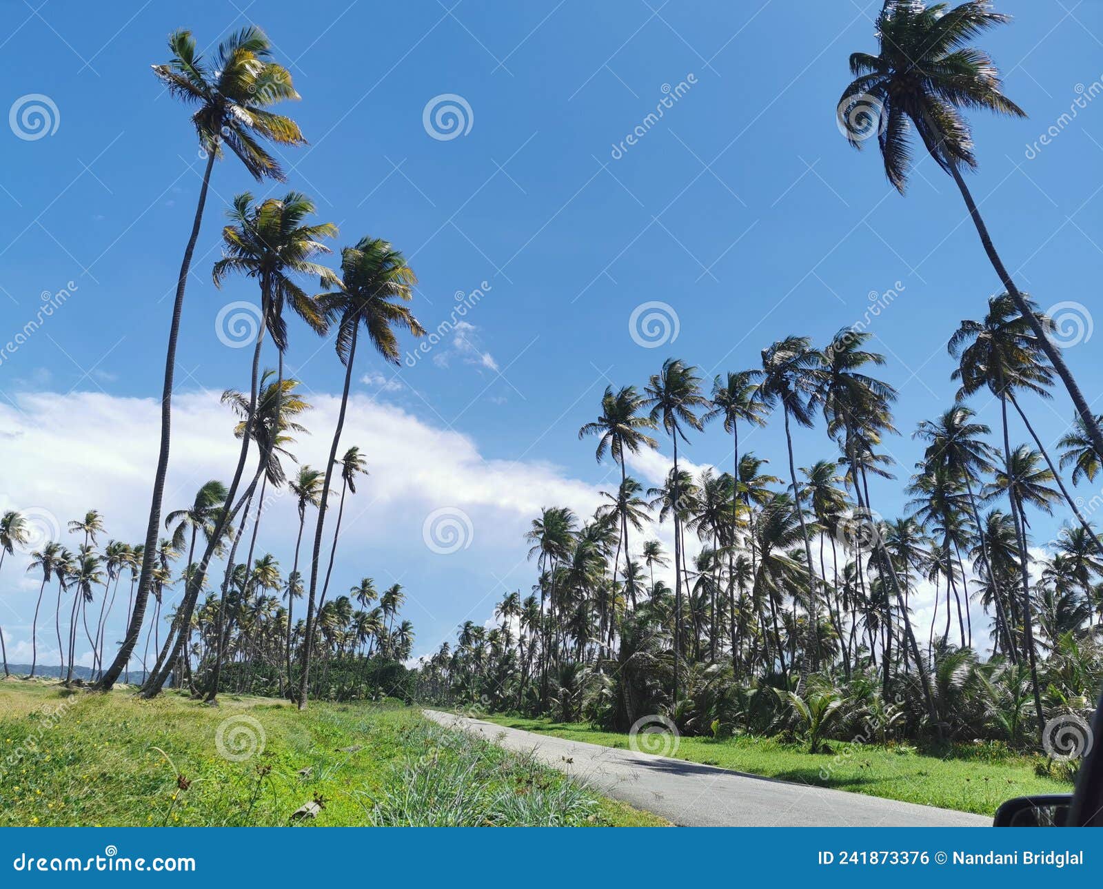 manzanilla mayaro road located along the coastline of east trinidad