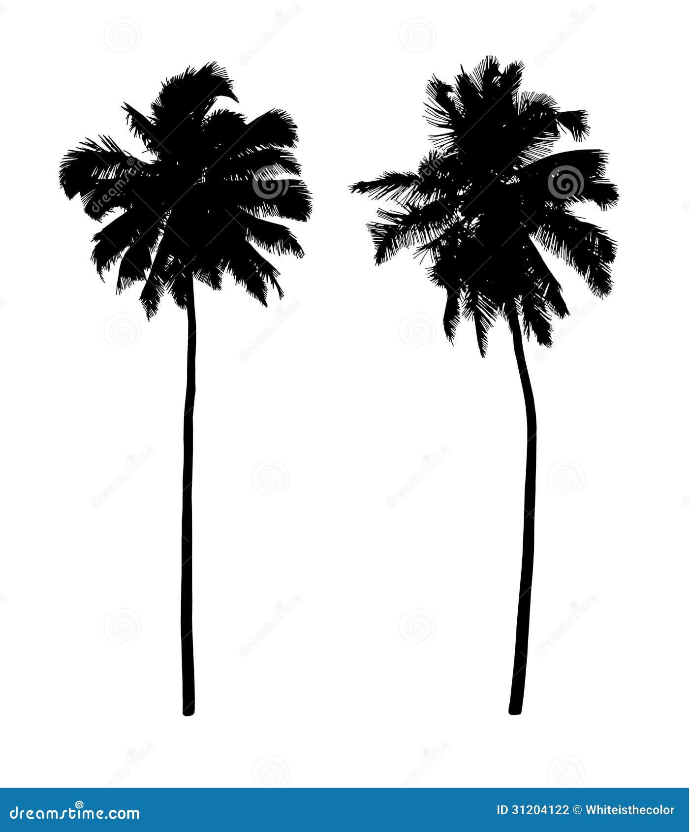 Coconut Trees Realistic Silhouettes Stock Illustration - Image: 31204122