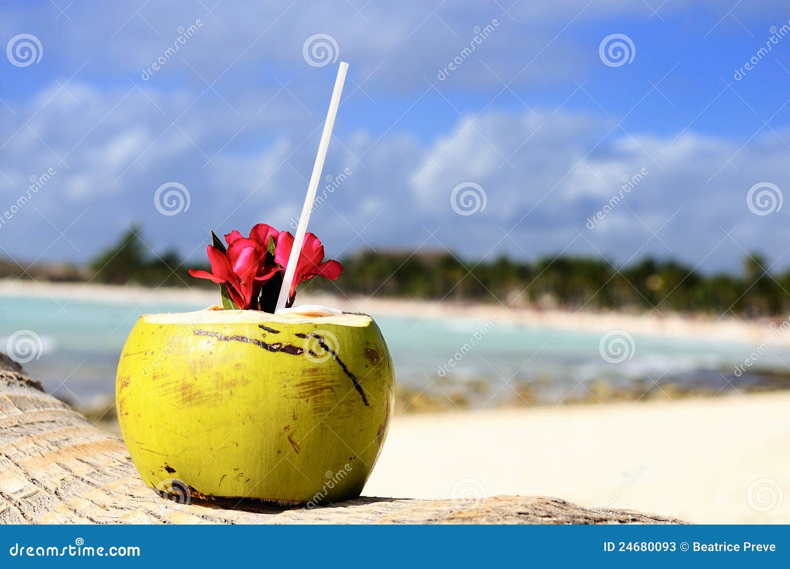 Coconuts on the beach stock image. Image of refreshment 24680093