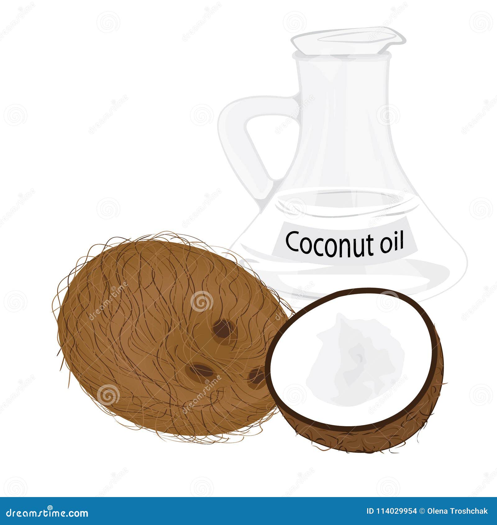 Coconuts and Coconut Oil in a Jar Vector Illustration Stock Vector ...